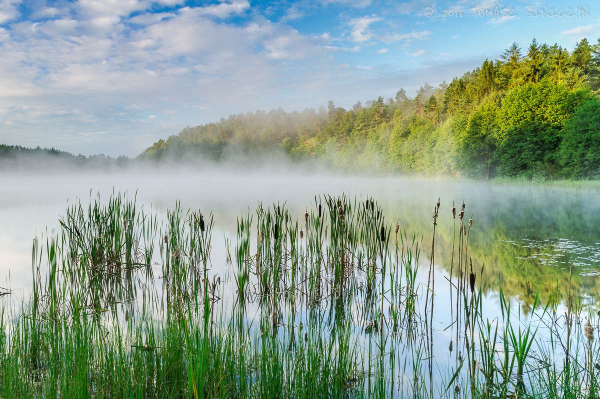 Samsung NX11 + Samsung NX 18-55mm F3.5-5.6 OIS sample photo. Misty lake photography