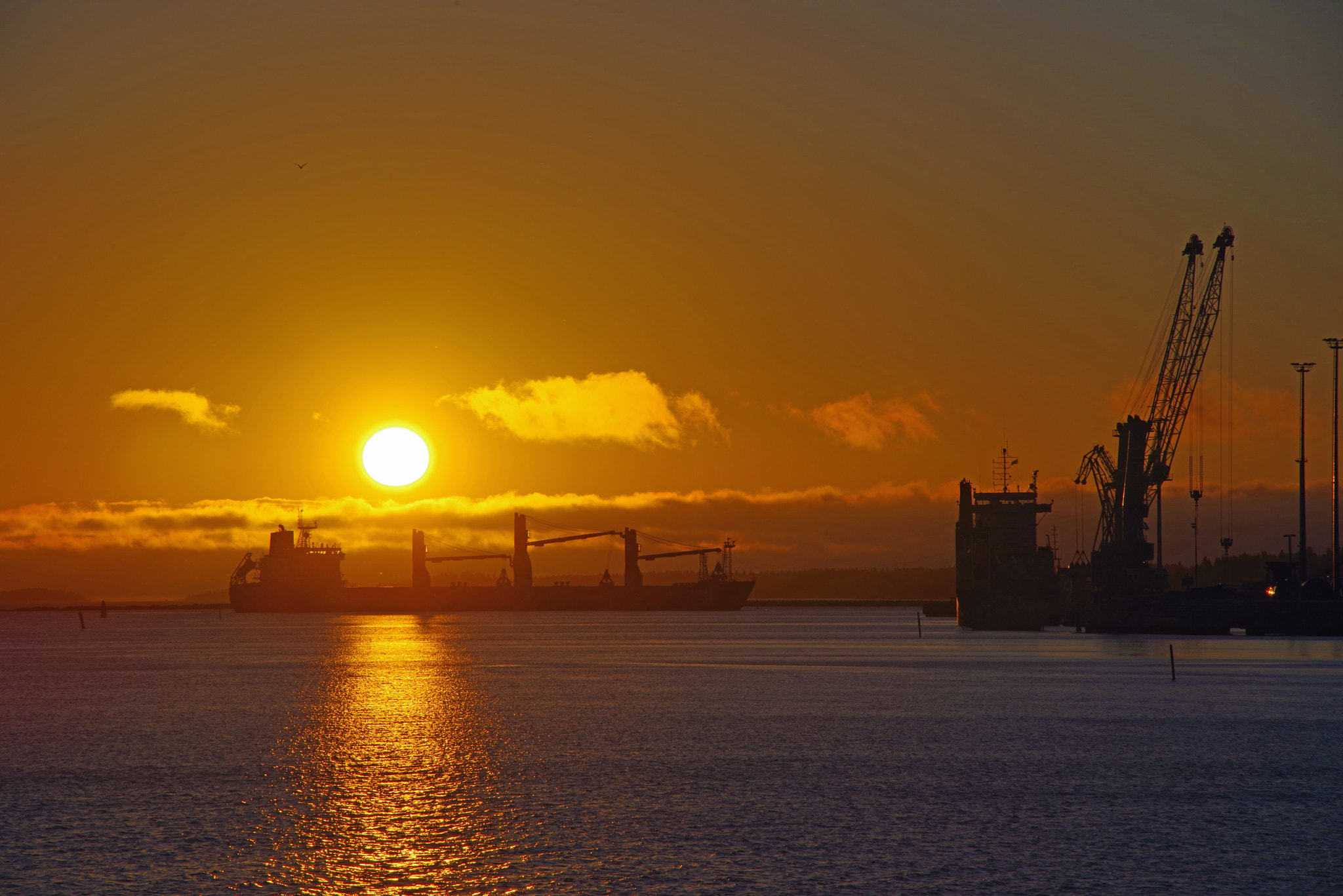 Pentax K-1 sample photo. Coming home before the sun goes down photography