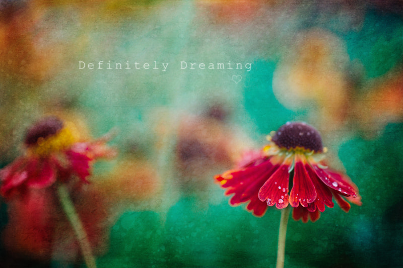 Sony a99 II sample photo. Red flowers with raindrops photography