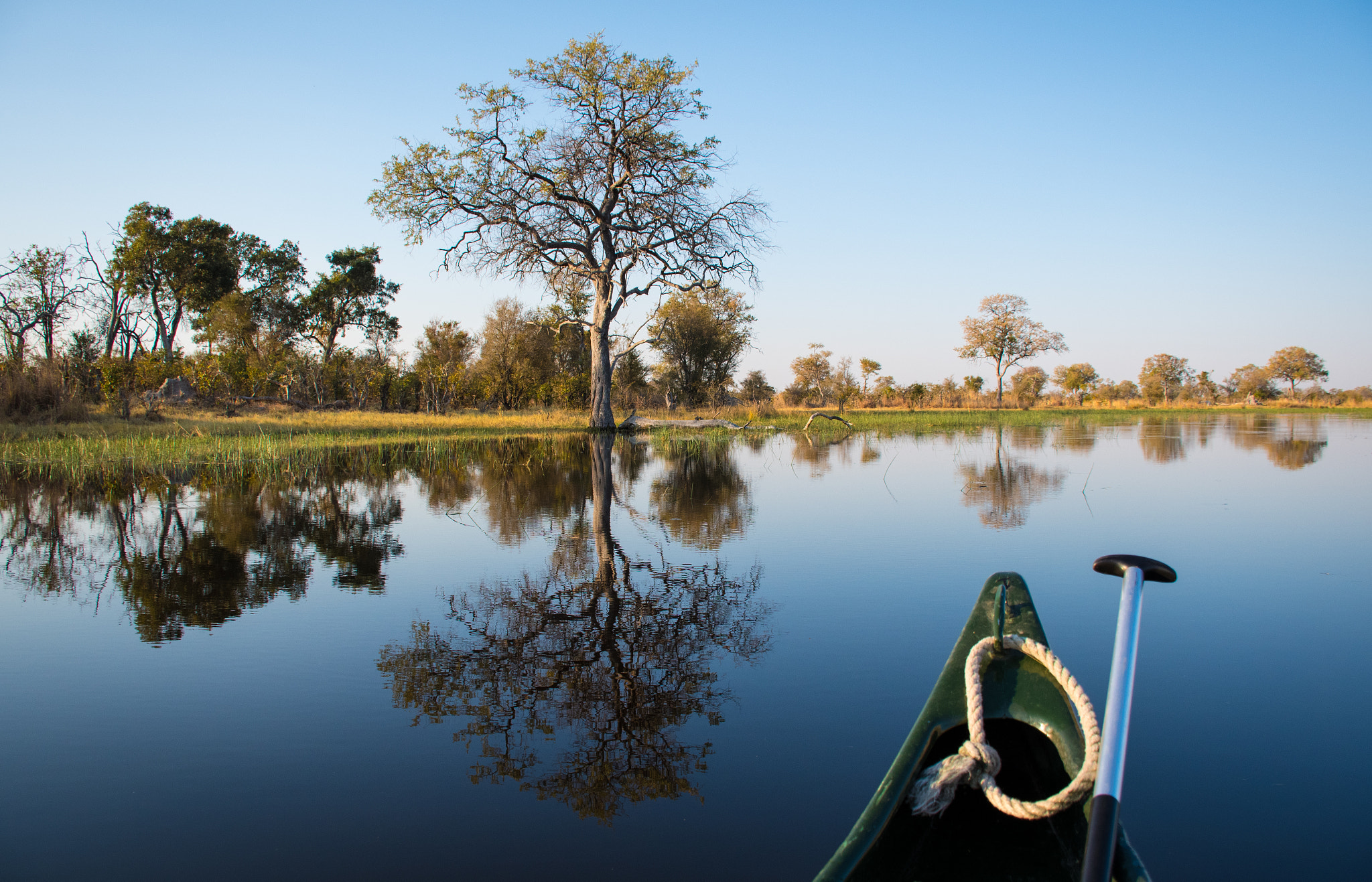 Nikon D500 sample photo. Delta canoe scene photography