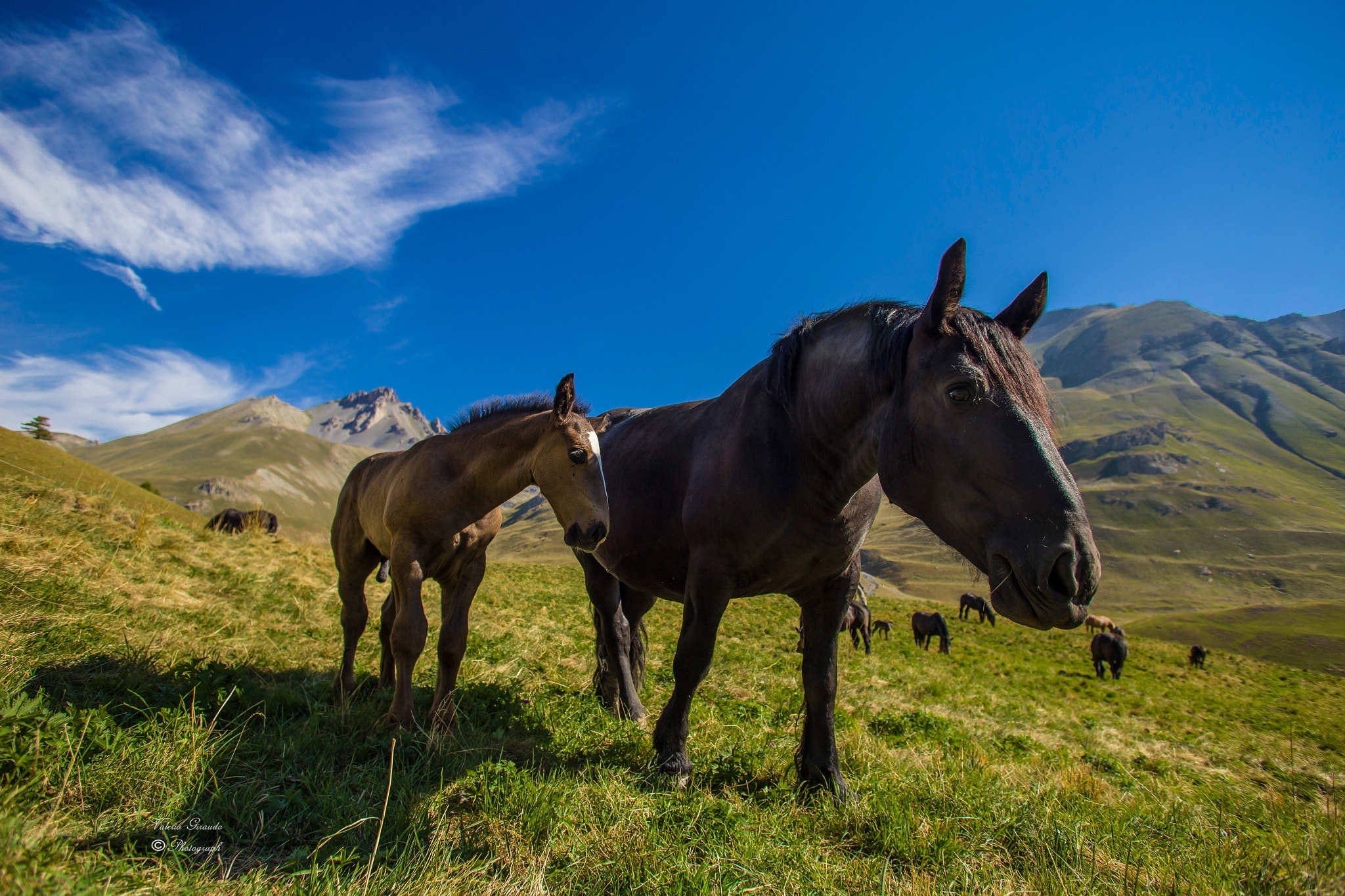 Canon EOS 6D + Canon EF 17-35mm f/2.8L sample photo. Mamma e figlio photography