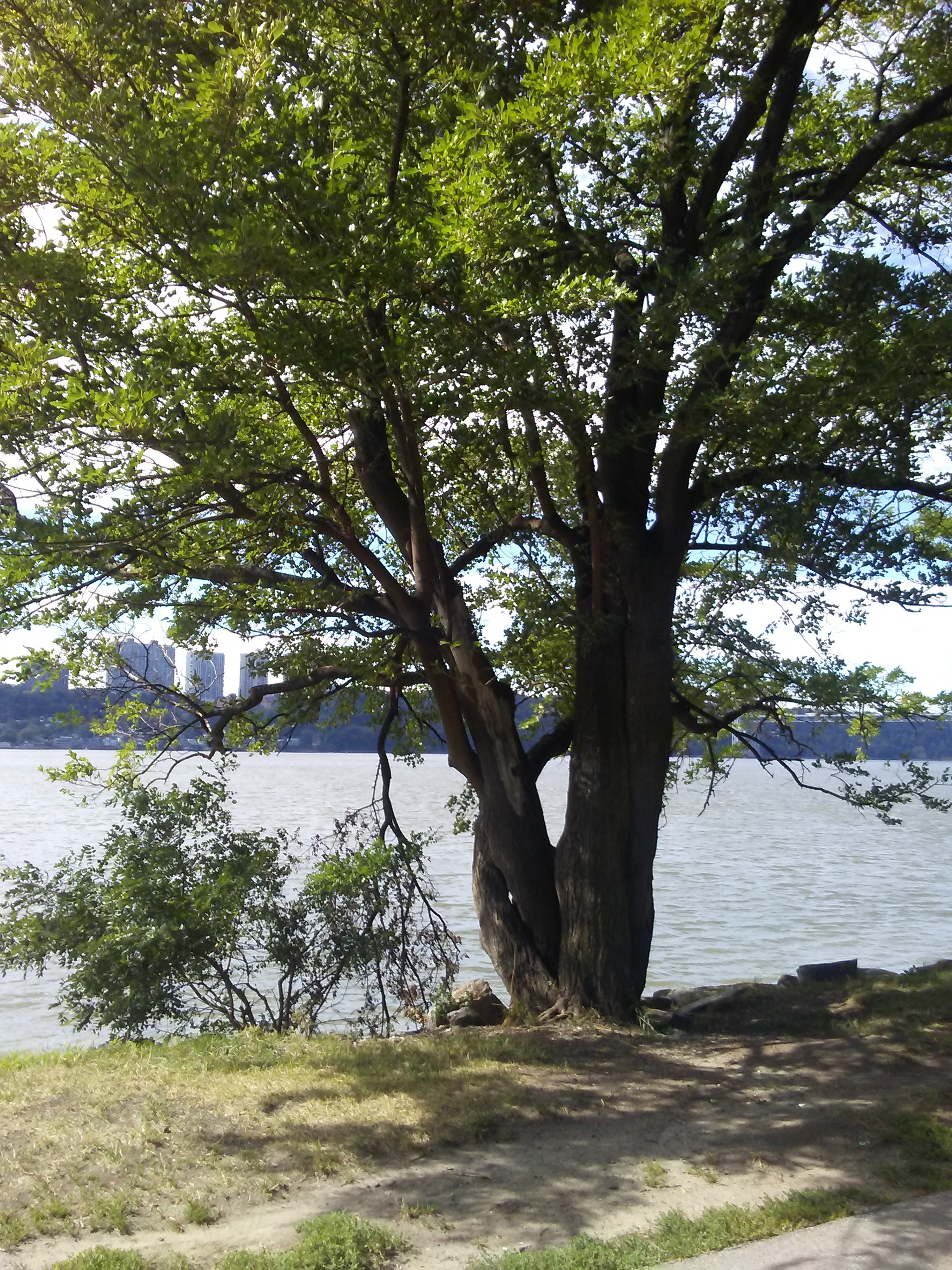 LG M1 sample photo. Looking west towords new jersey photography