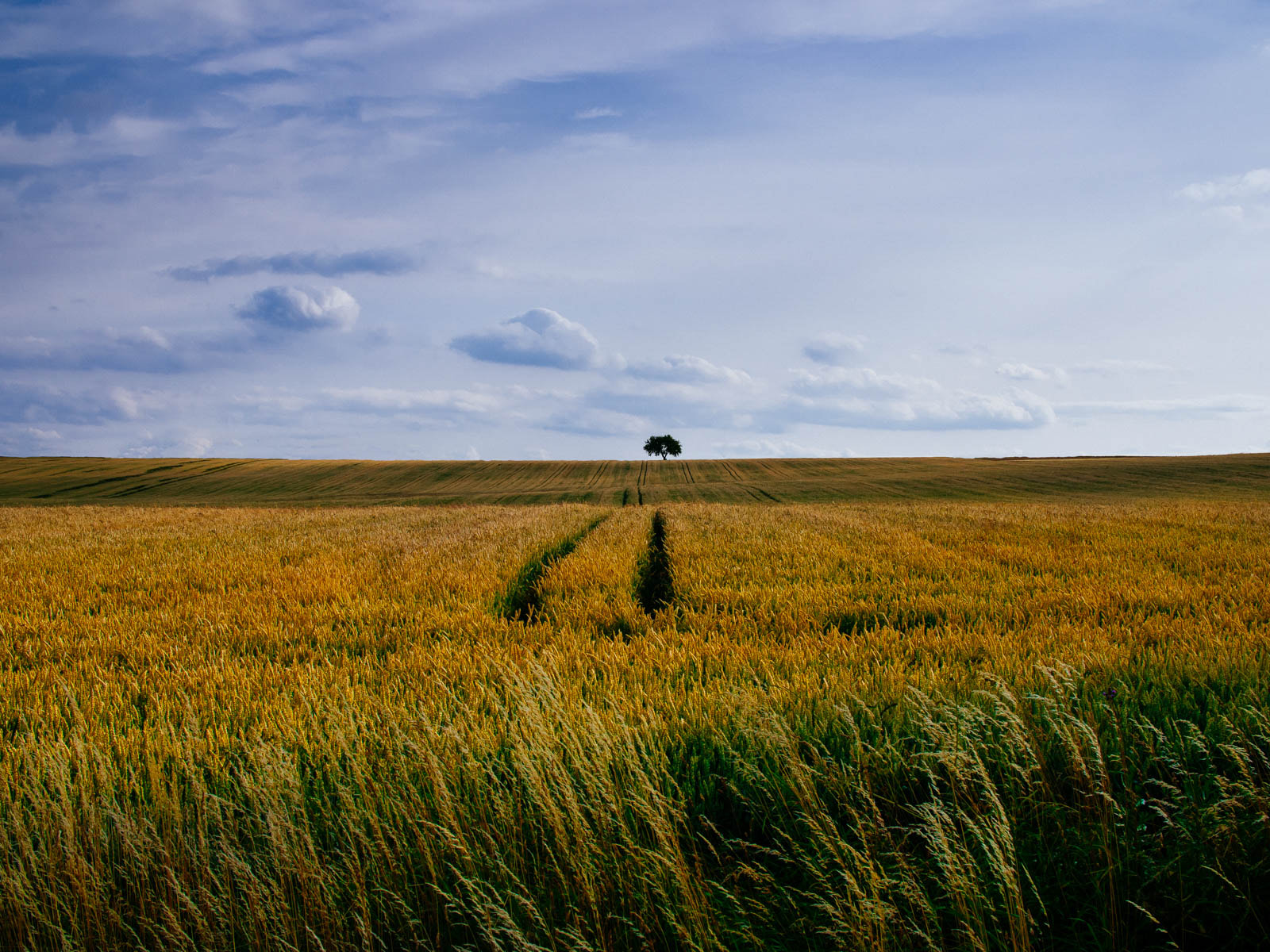 Olympus PEN E-PL5 sample photo. Solitude photography