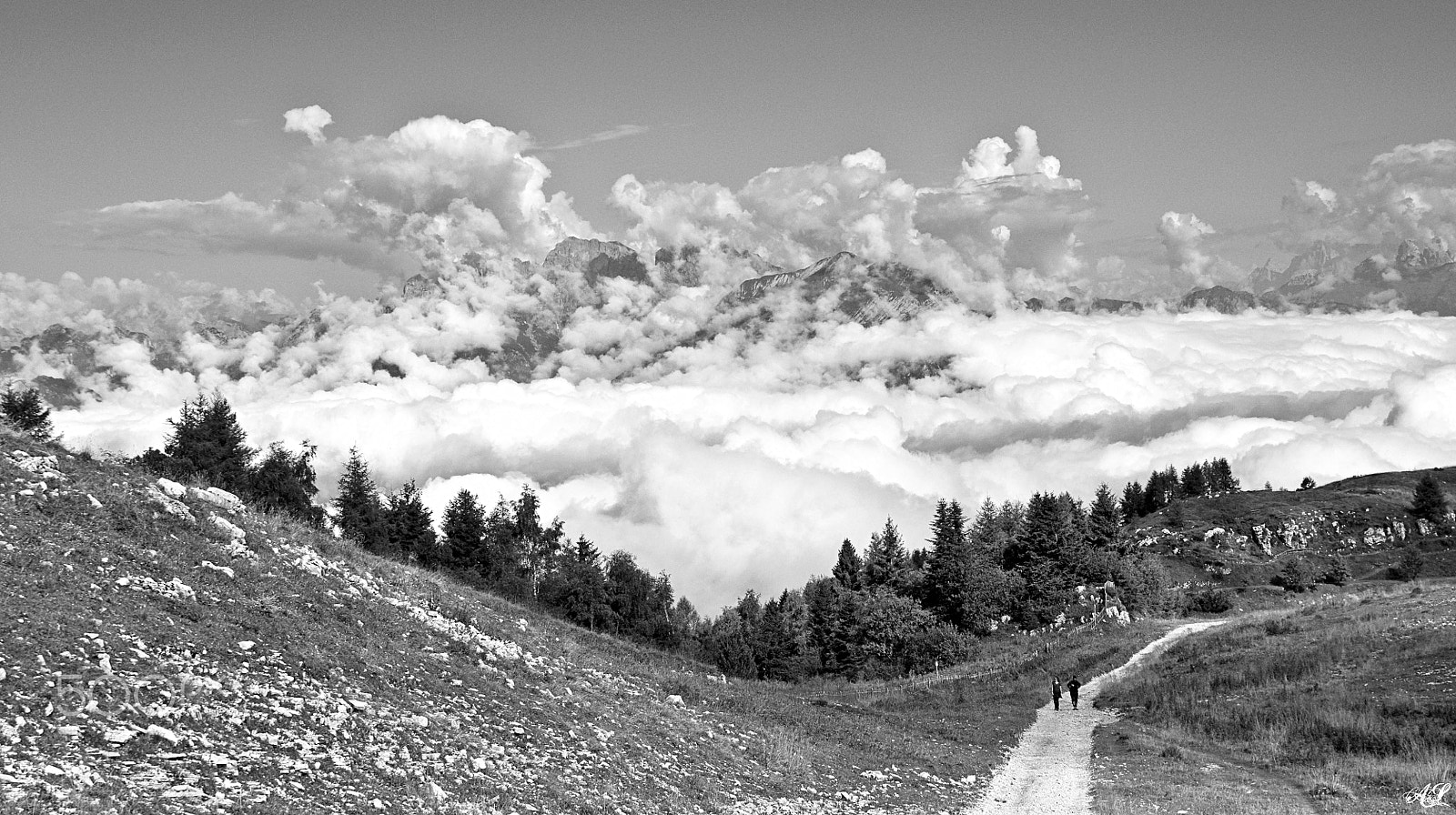 Sigma 17-70mm F2.8-4 DC Macro OS HSM sample photo. Passo giau photography