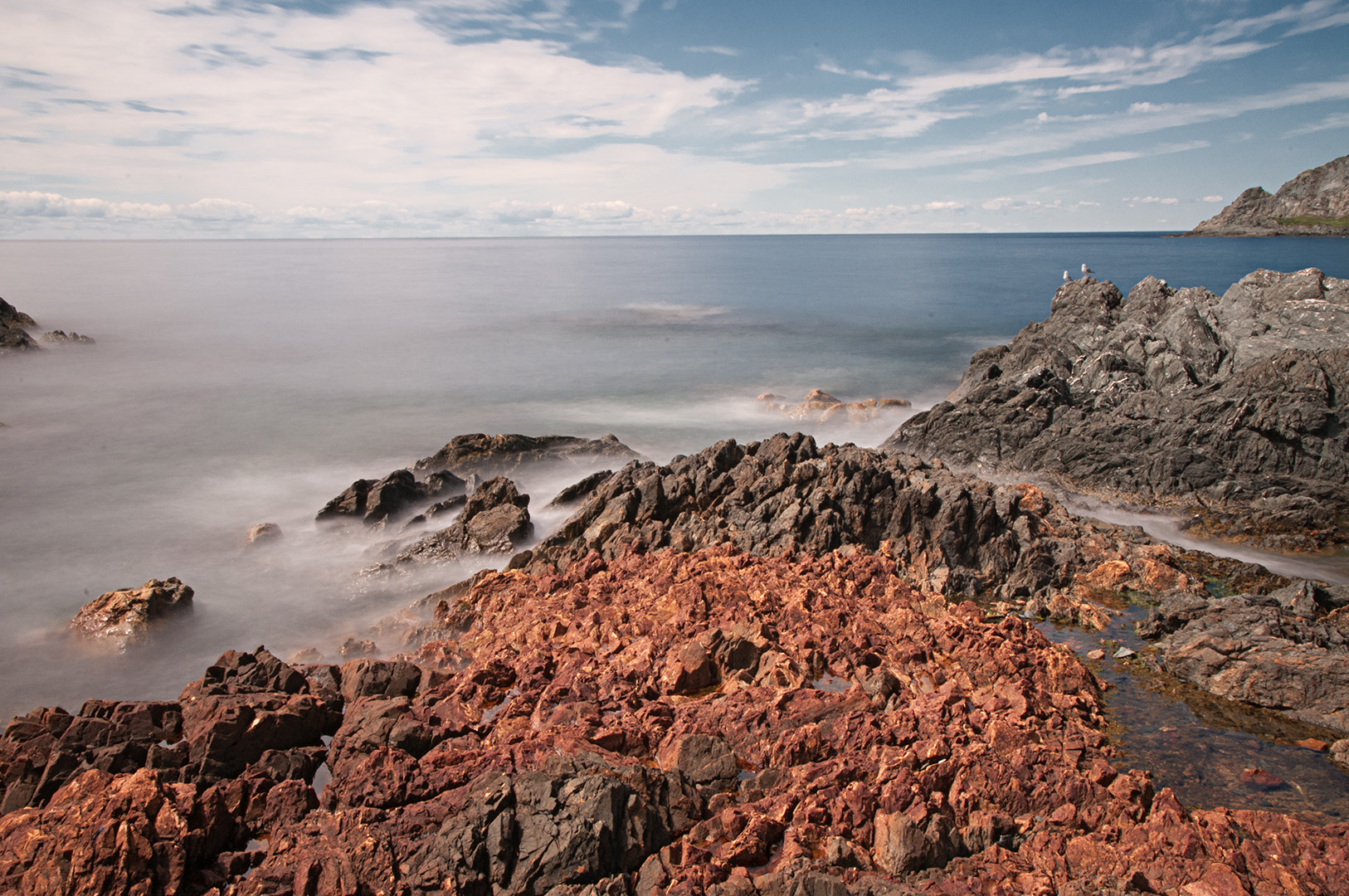 Nikon D300S sample photo. Newfoundland photography
