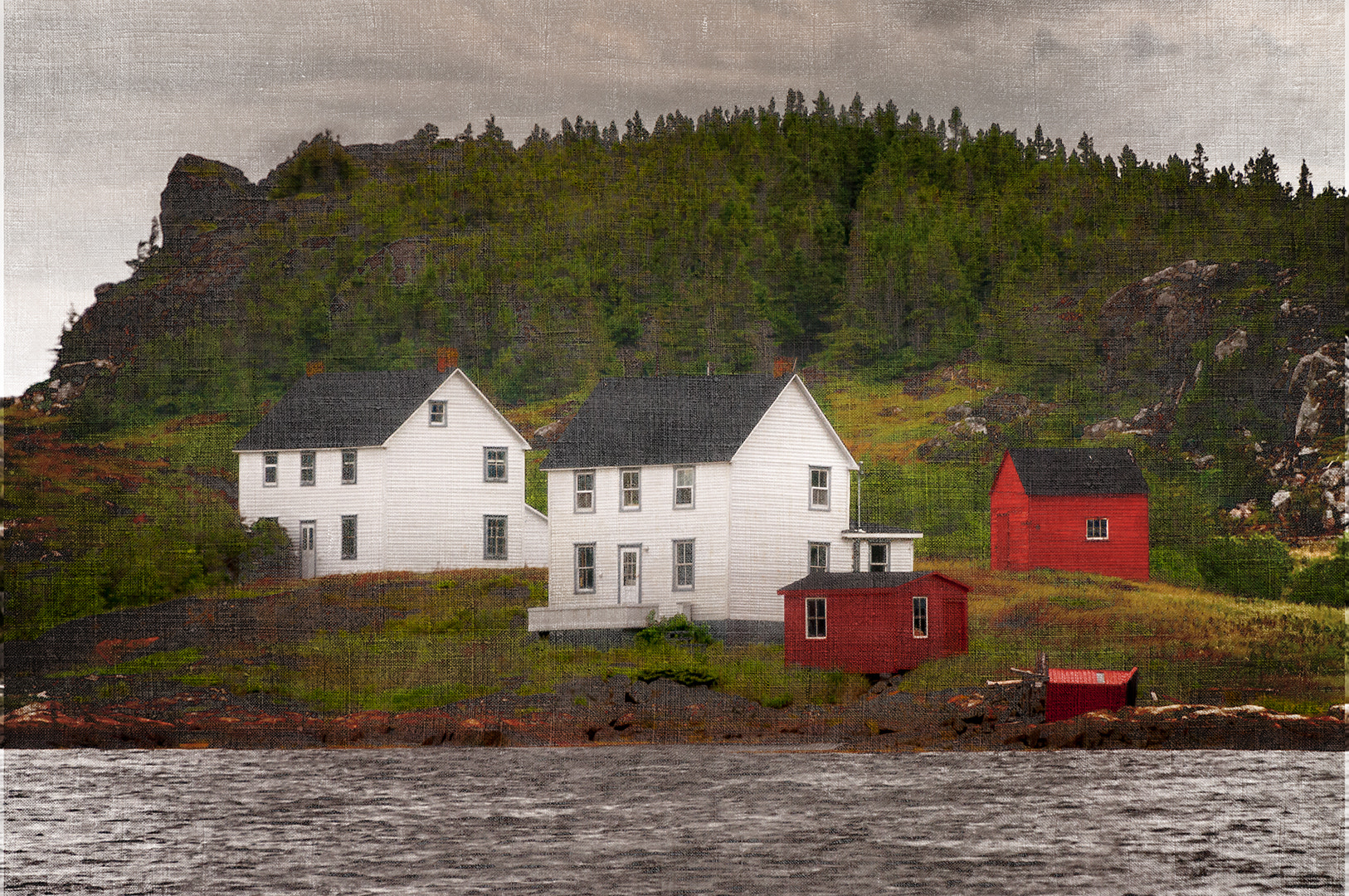 Nikon D300S sample photo. Salvage, newfoundland photography