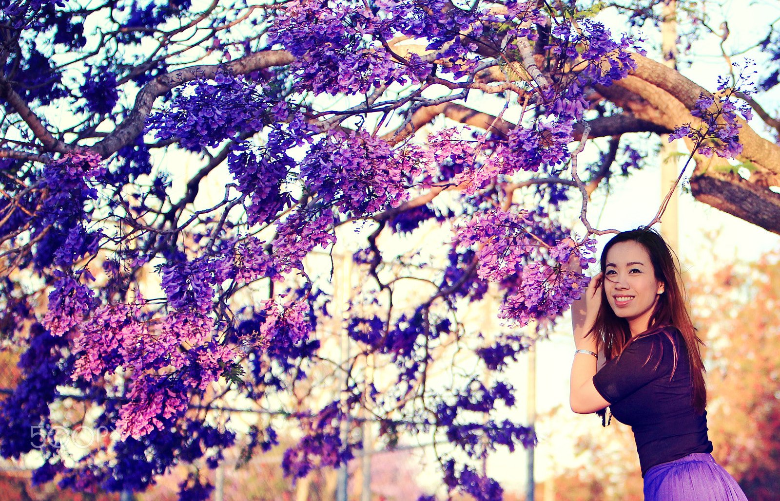 Canon EF 70-200mm F2.8L IS USM sample photo. Jacaranda season in brisbane photography