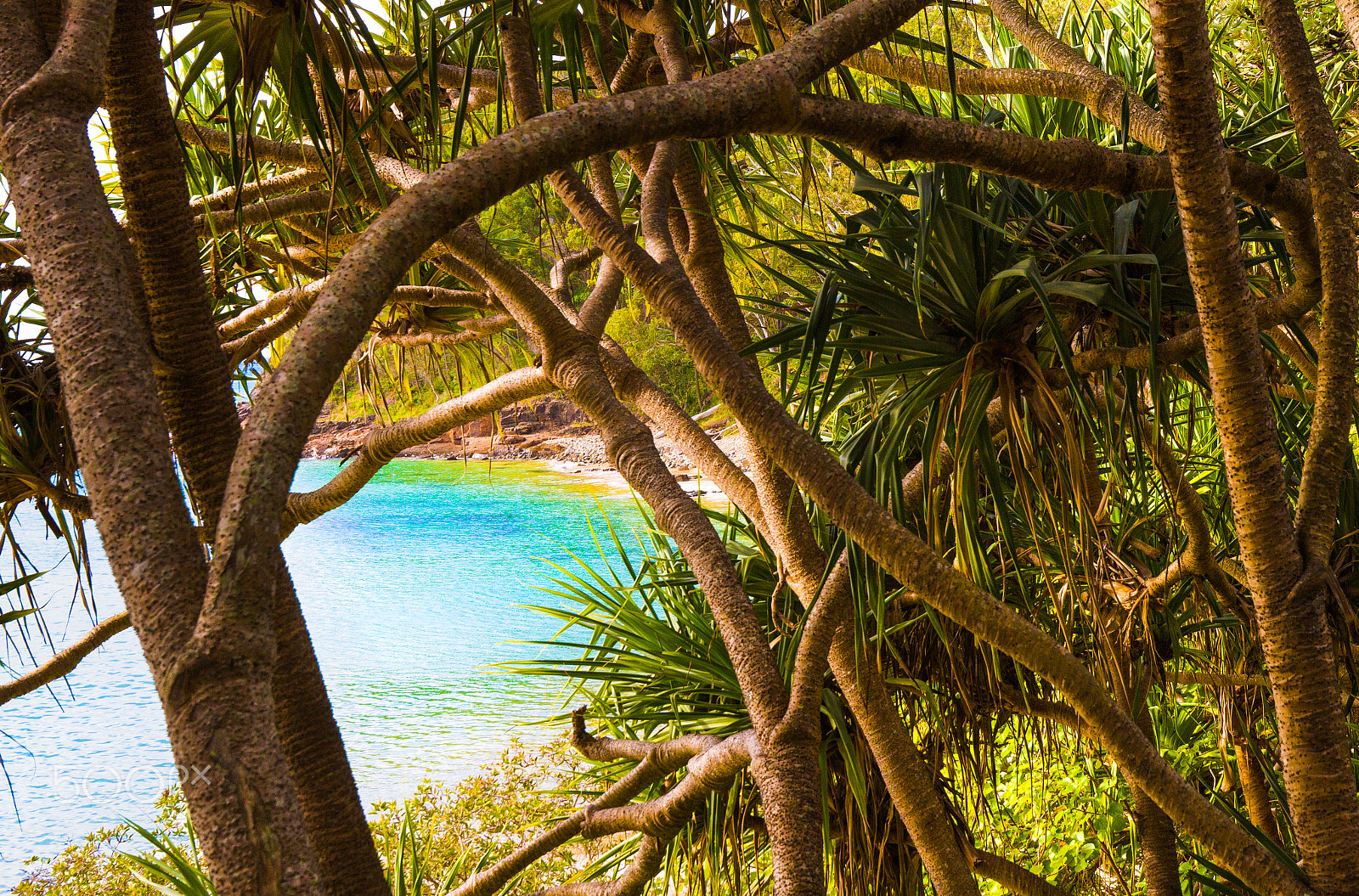 Canon EOS 7D + Canon EF 16-35mm F4L IS USM sample photo. Blue beautiful water through tropical trees photography