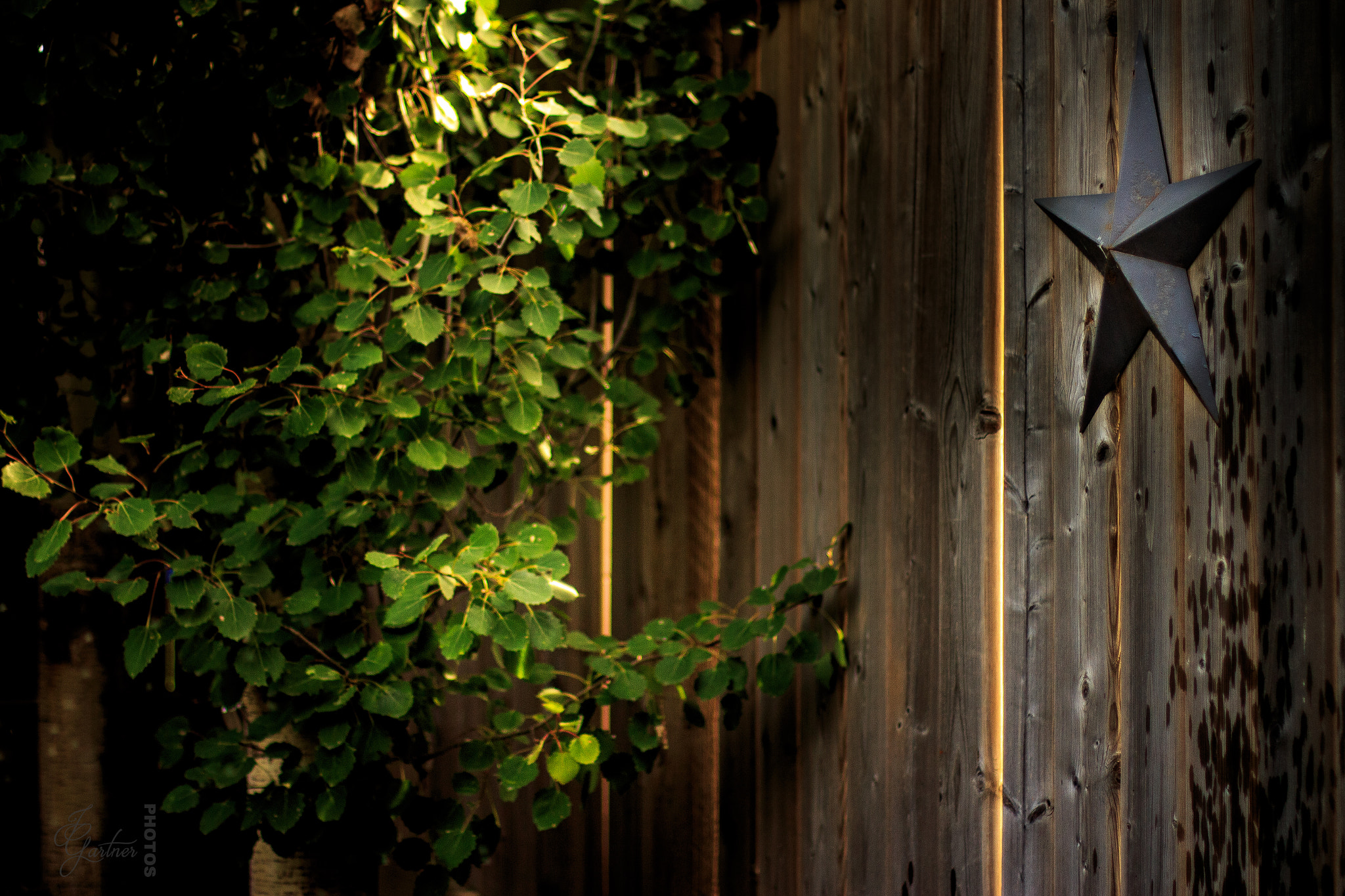 Canon EOS 650D (EOS Rebel T4i / EOS Kiss X6i) sample photo. Light creeping in from next door photography