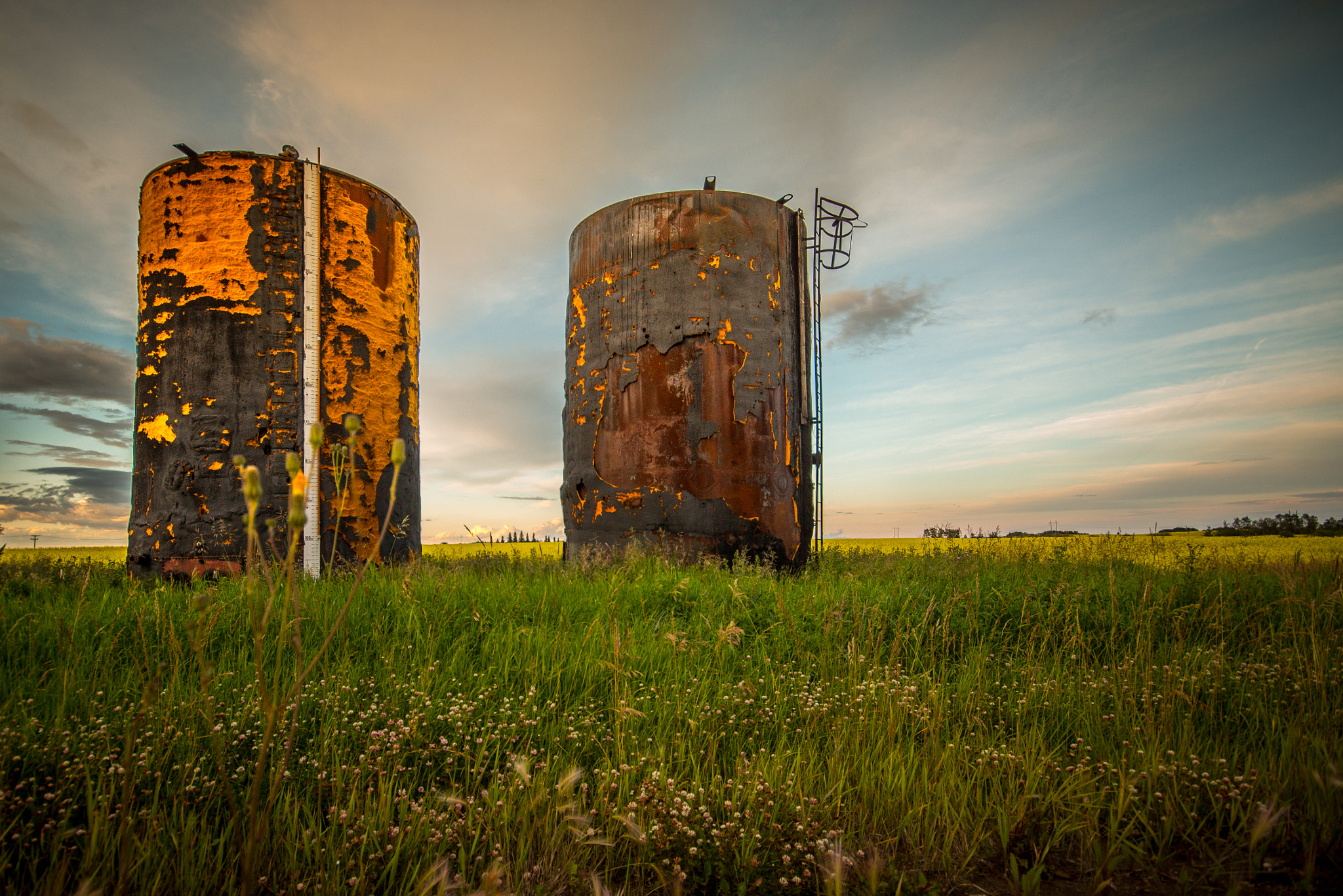 Canon EOS 650D (EOS Rebel T4i / EOS Kiss X6i) sample photo. Pair of tanks photography