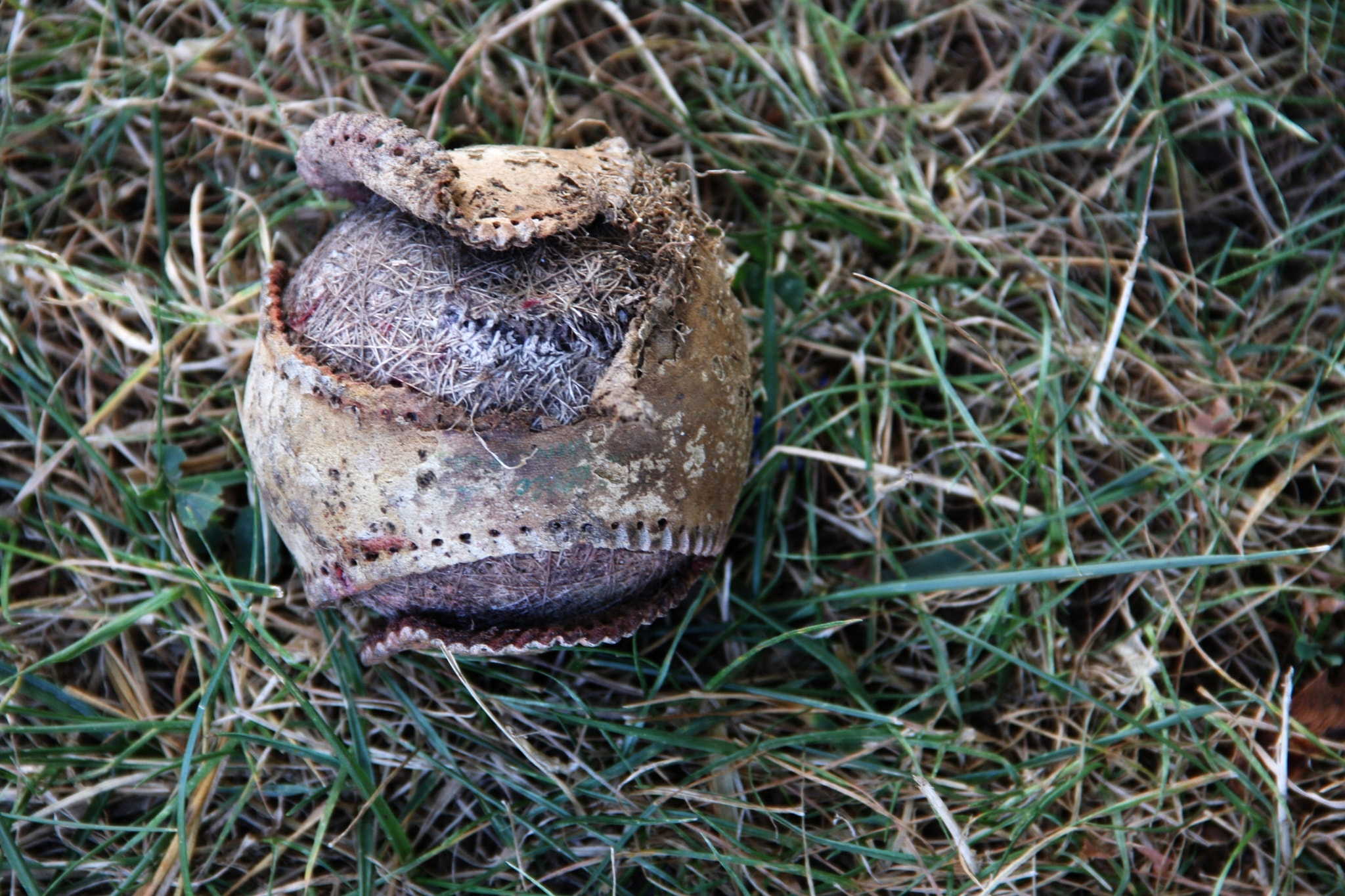 Canon EOS 40D sample photo. Battered baseball photography