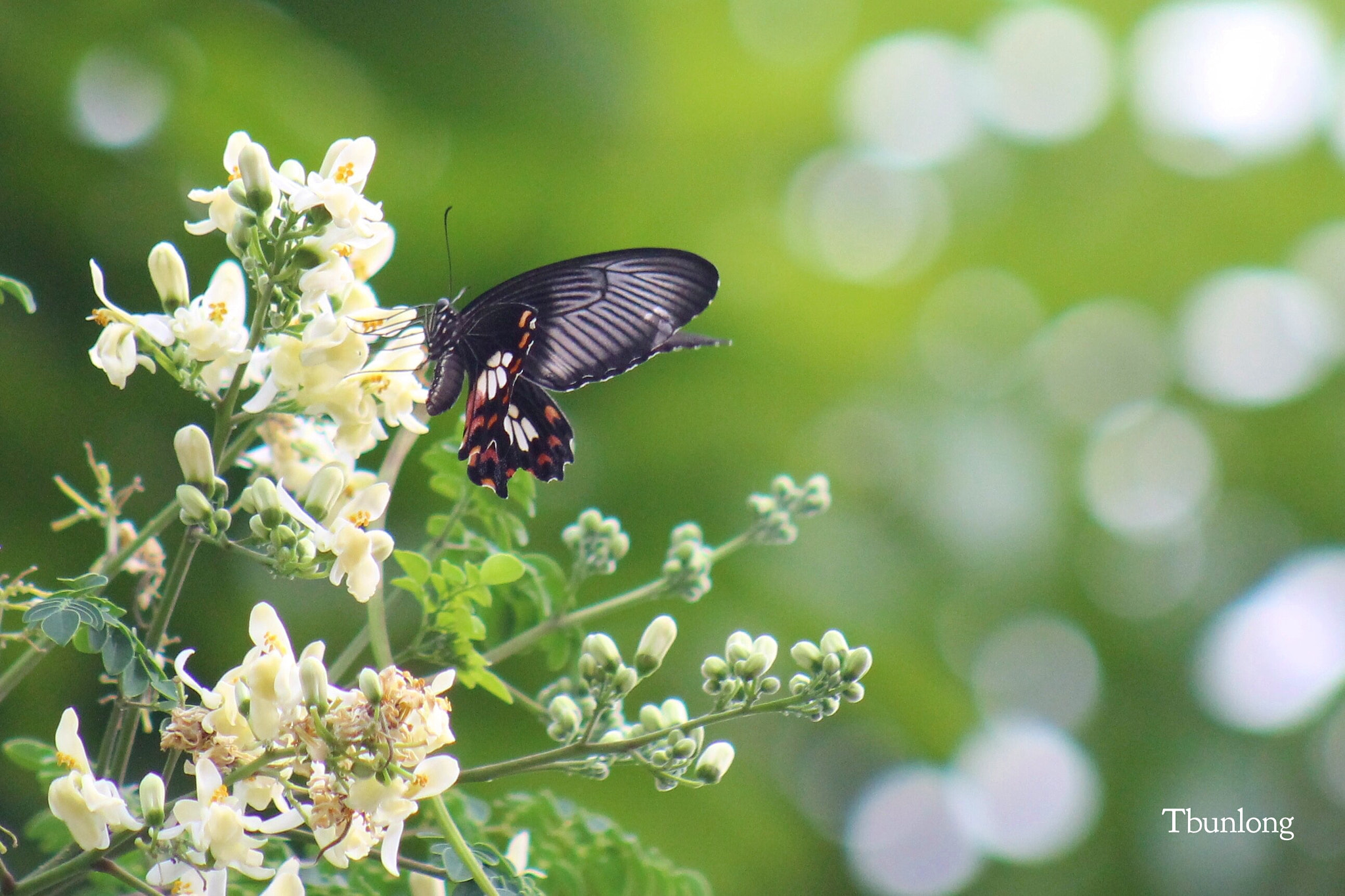 Canon EOS 1100D (EOS Rebel T3 / EOS Kiss X50) sample photo. Working time ! photography