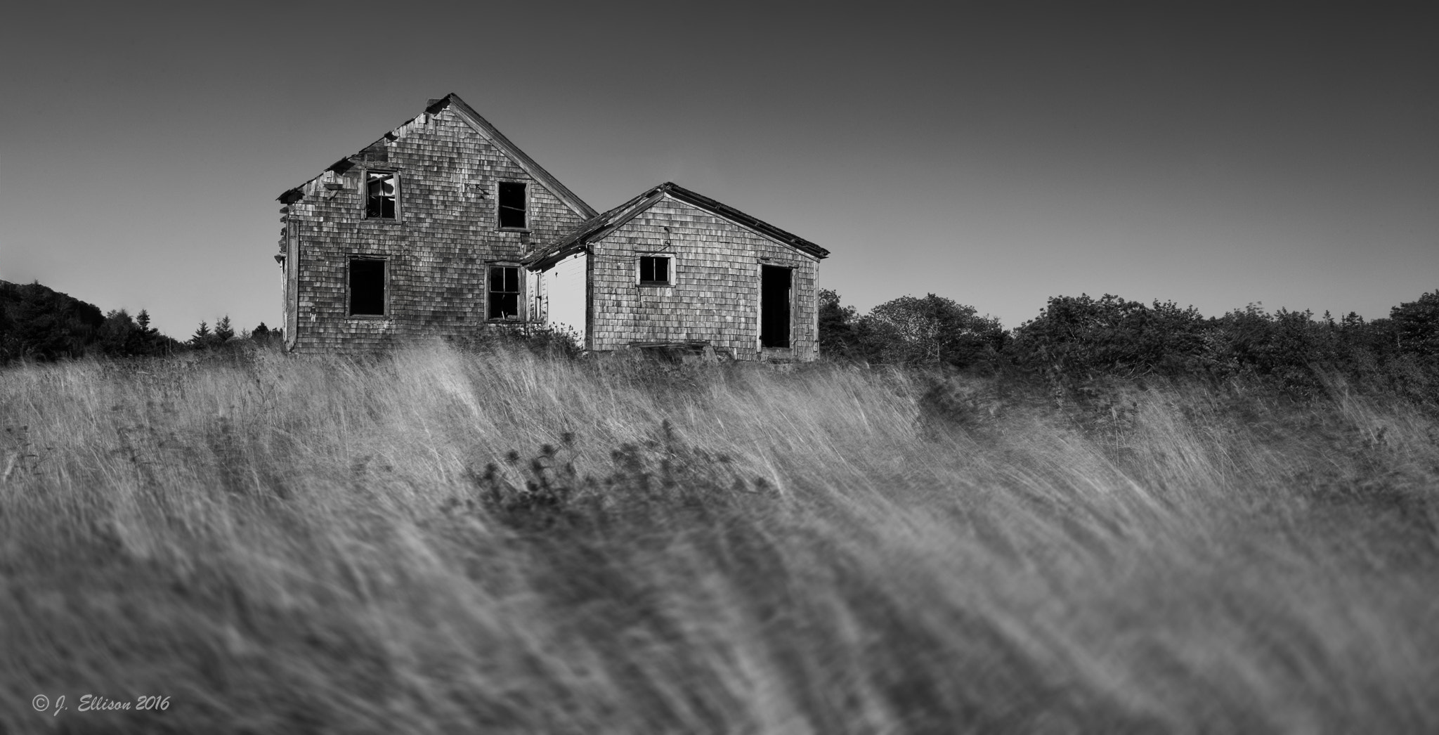 Canon TS-E 24.0mm f/3.5 L II sample photo. Whale cove, ns. photography