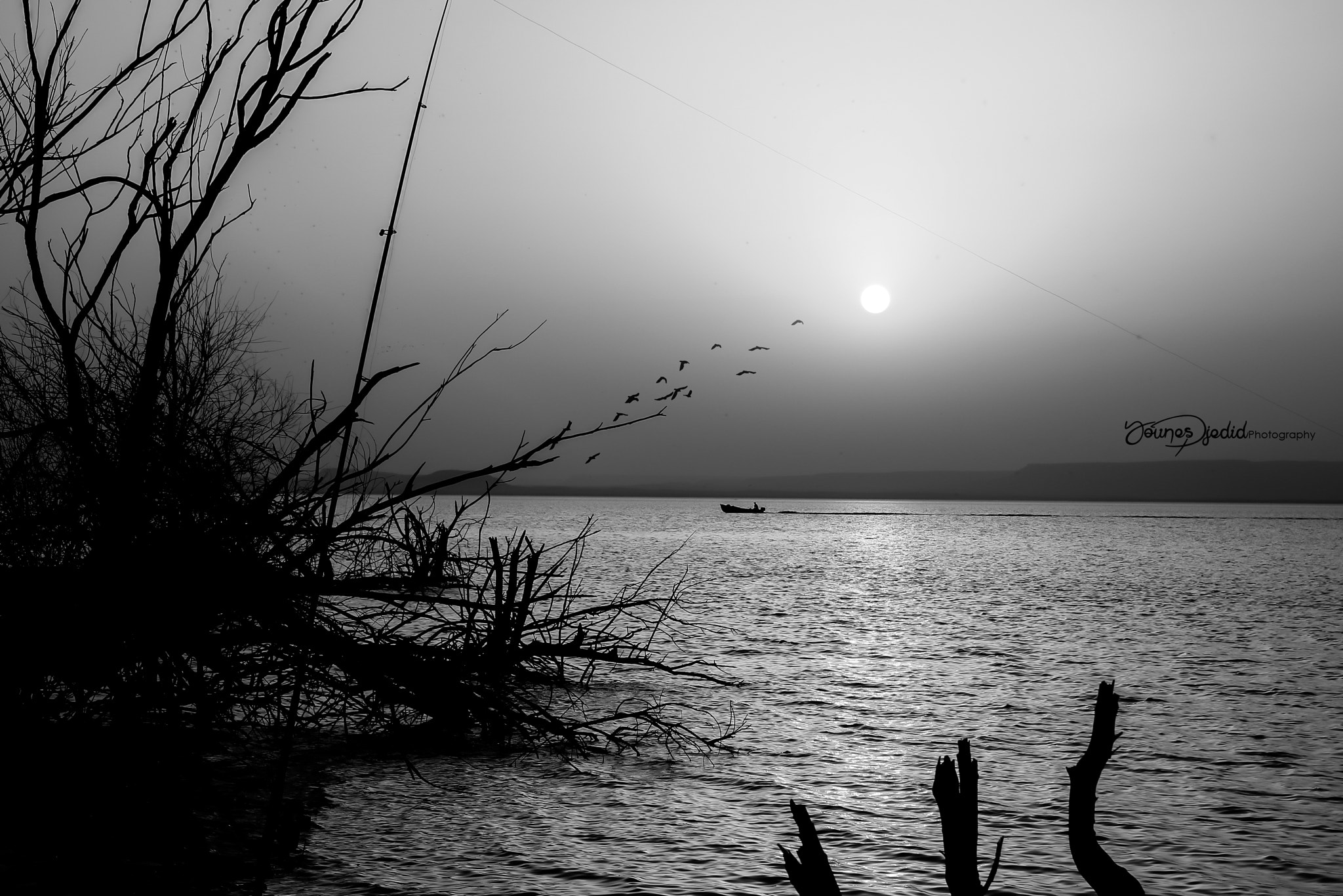 Canon EOS 70D + Sigma 18-50mm f/2.8 Macro sample photo. Younes djedid5 photography