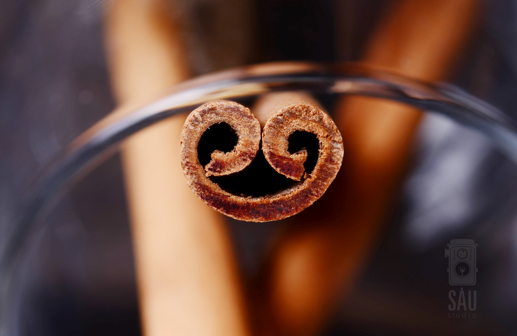 Nikon AF-S Micro-Nikkor 60mm F2.8G ED sample photo. Cinnamon photography