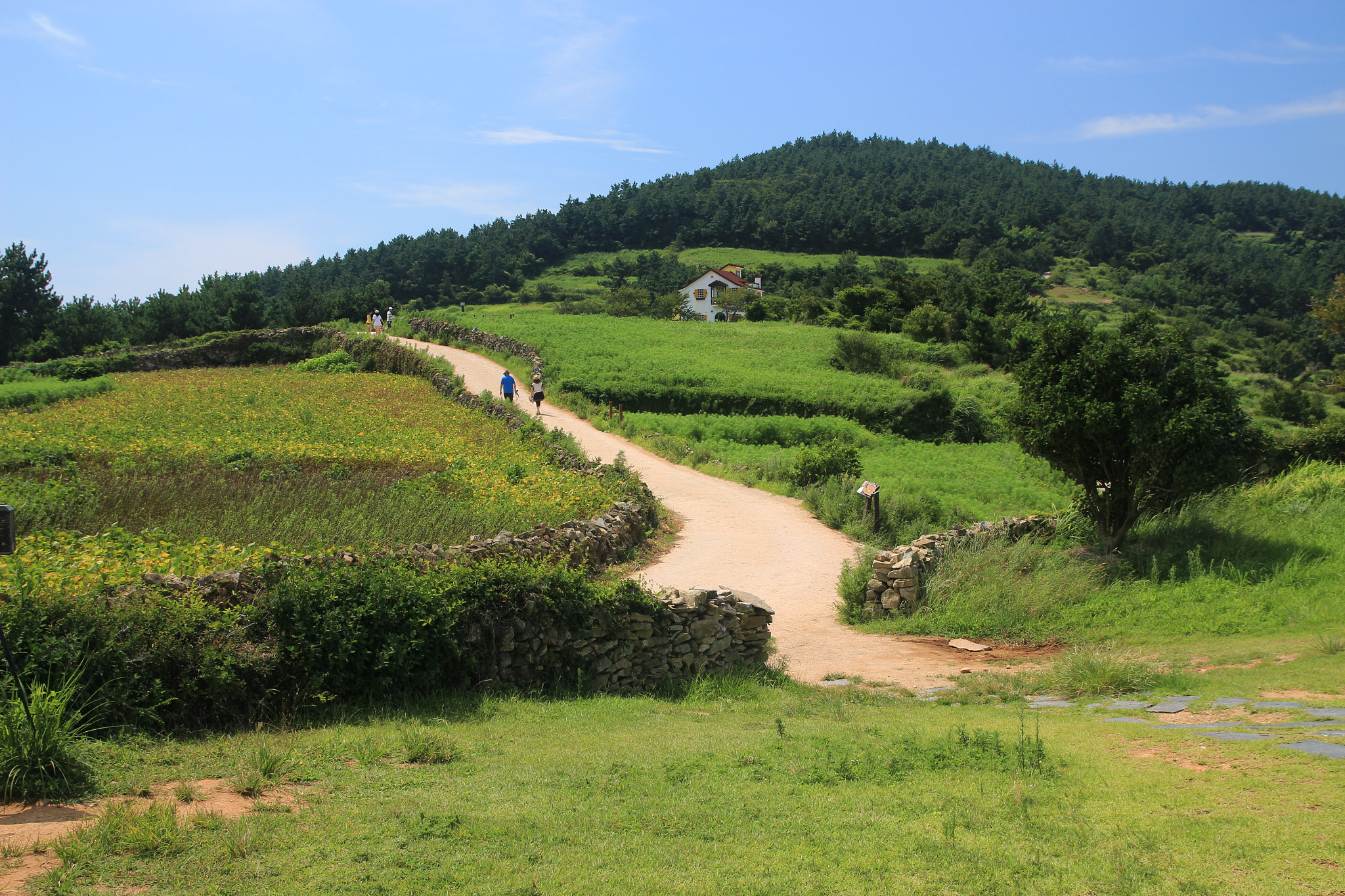 Canon EOS 650D (EOS Rebel T4i / EOS Kiss X6i) sample photo. The beautiful path photography