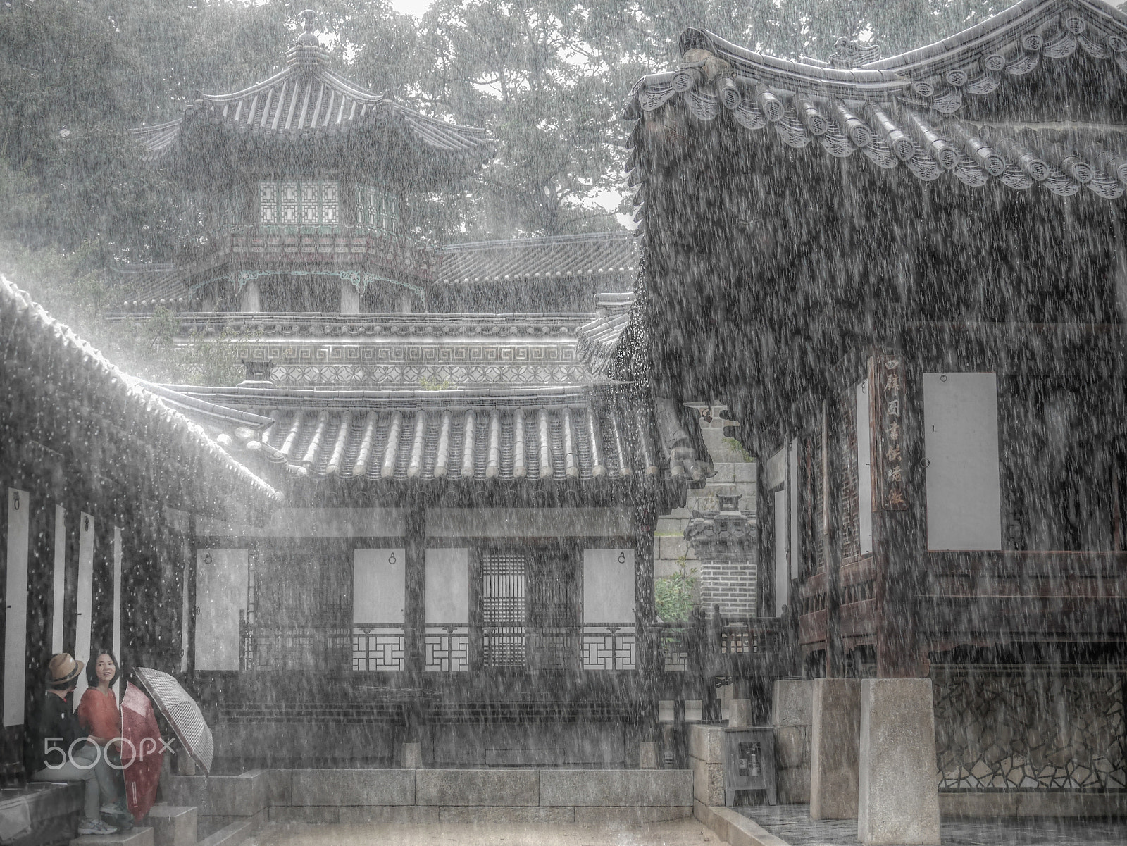 Panasonic Lumix DMC-GX7 sample photo. Happy laughter in the rain photography