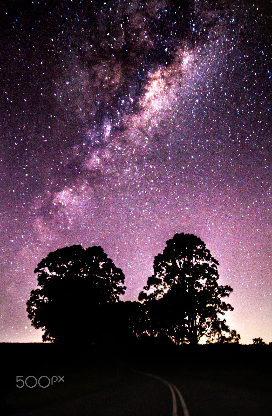 Canon EOS 7D + Canon EF 16-35mm F4L IS USM sample photo. Purple star photo taken on road photography