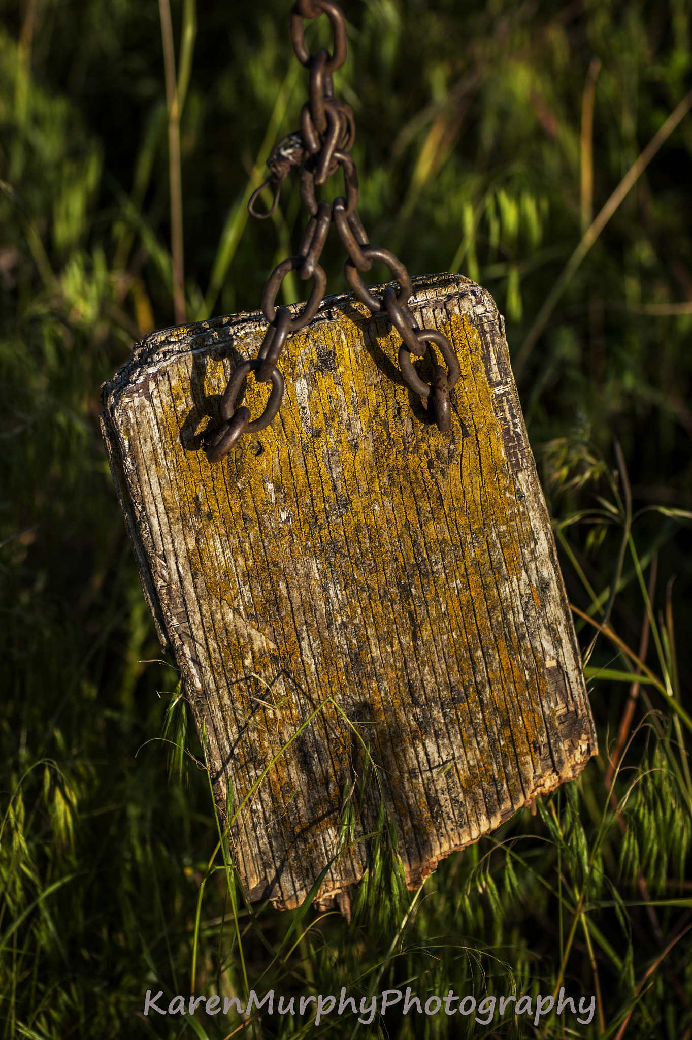 Sony Alpha DSLR-A350 + Tamron SP AF 90mm F2.8 Di Macro sample photo. Old broken wooden swing photography