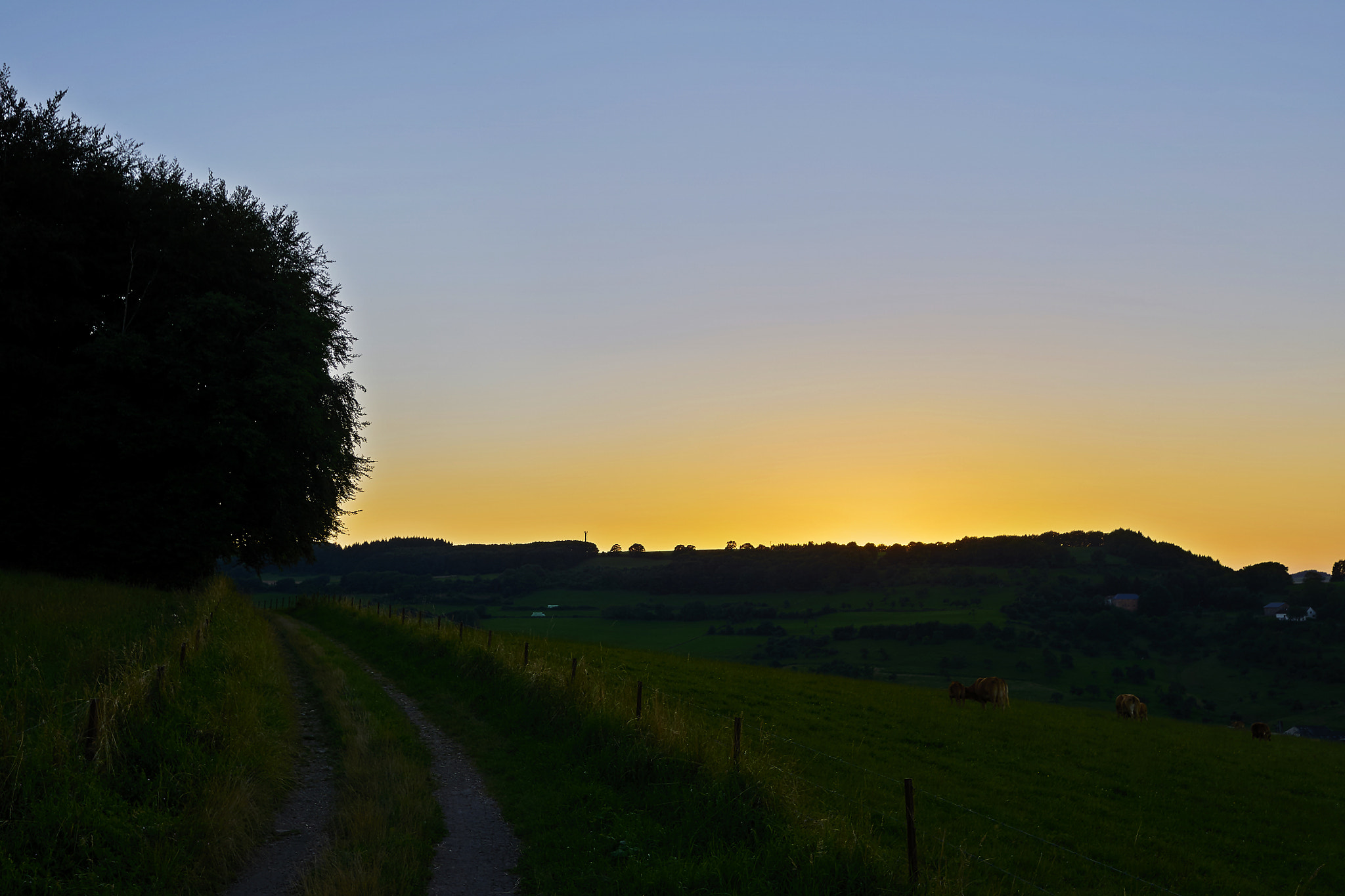 Sony ILCA-77M2 + 10-20mm F3.5 sample photo. Countryside sunset photography