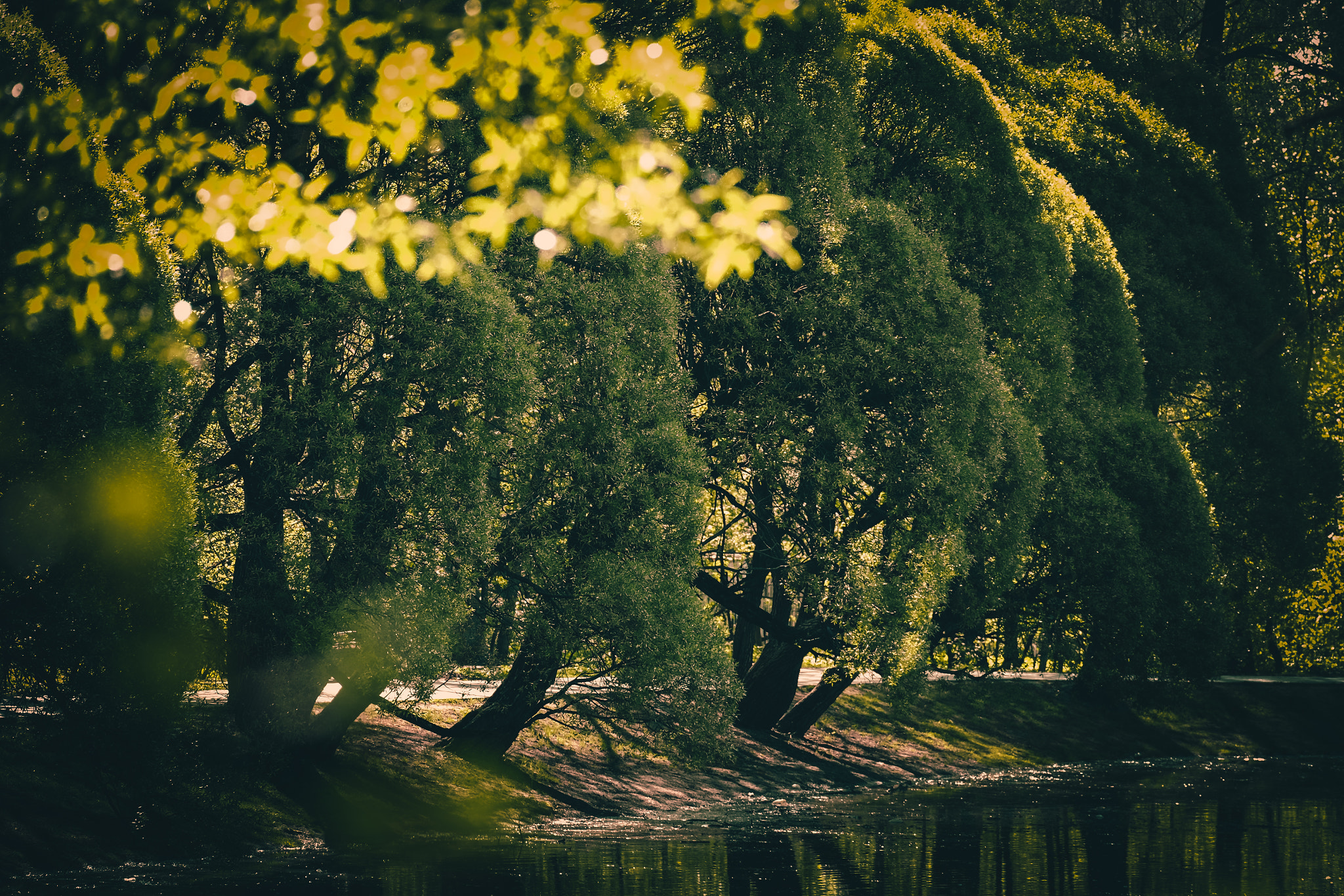 Fujifilm X-E2 + Fujifilm XC 50-230mm F4.5-6.7 OIS sample photo. Early morning photography