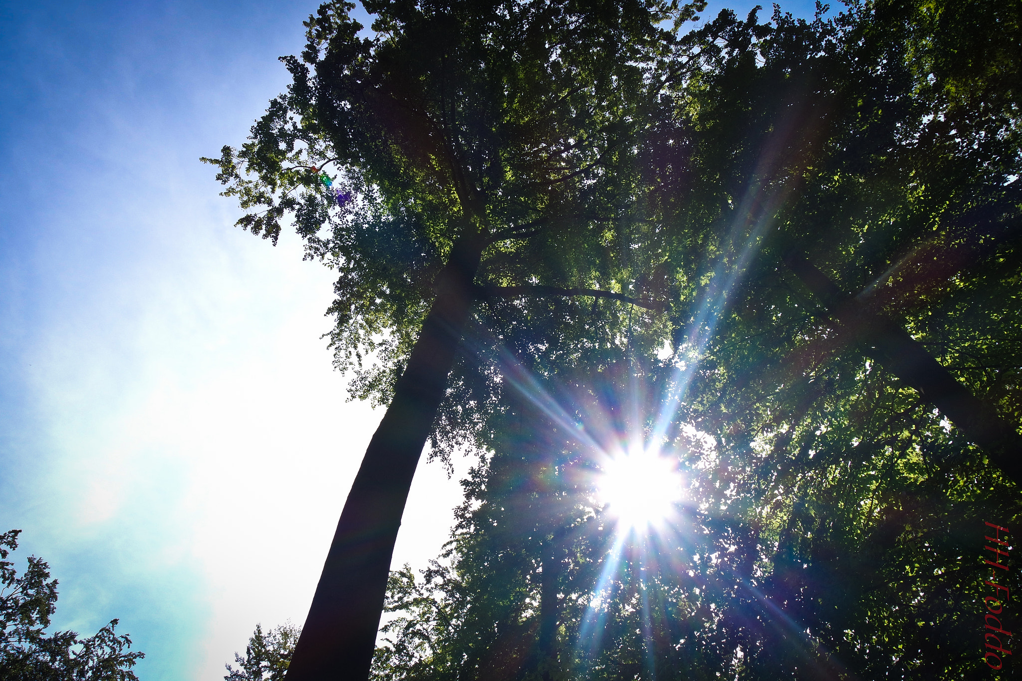 Samsung NX mini sample photo. Sun is shining photography