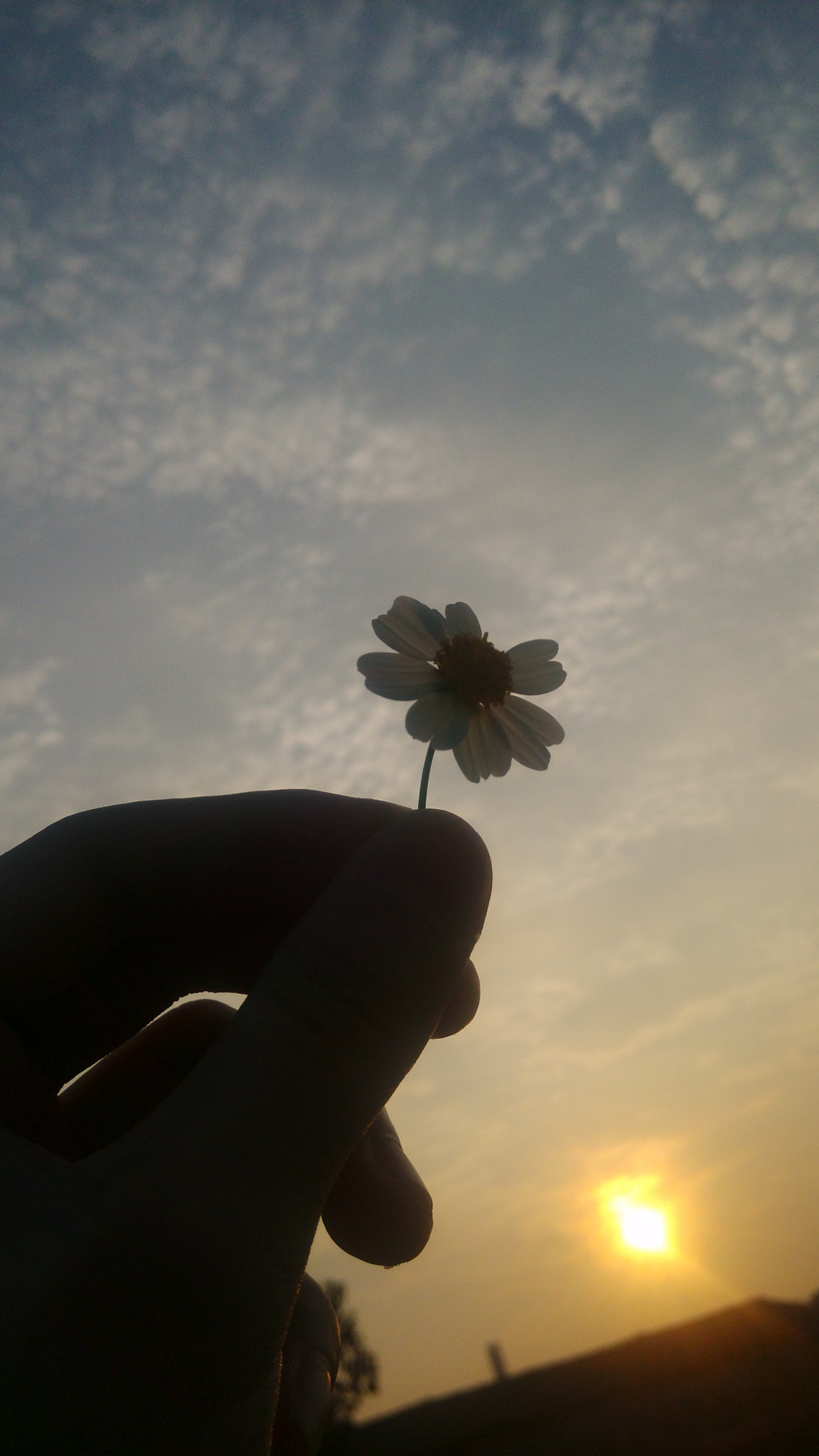 Xiaomi MI3 sample photo