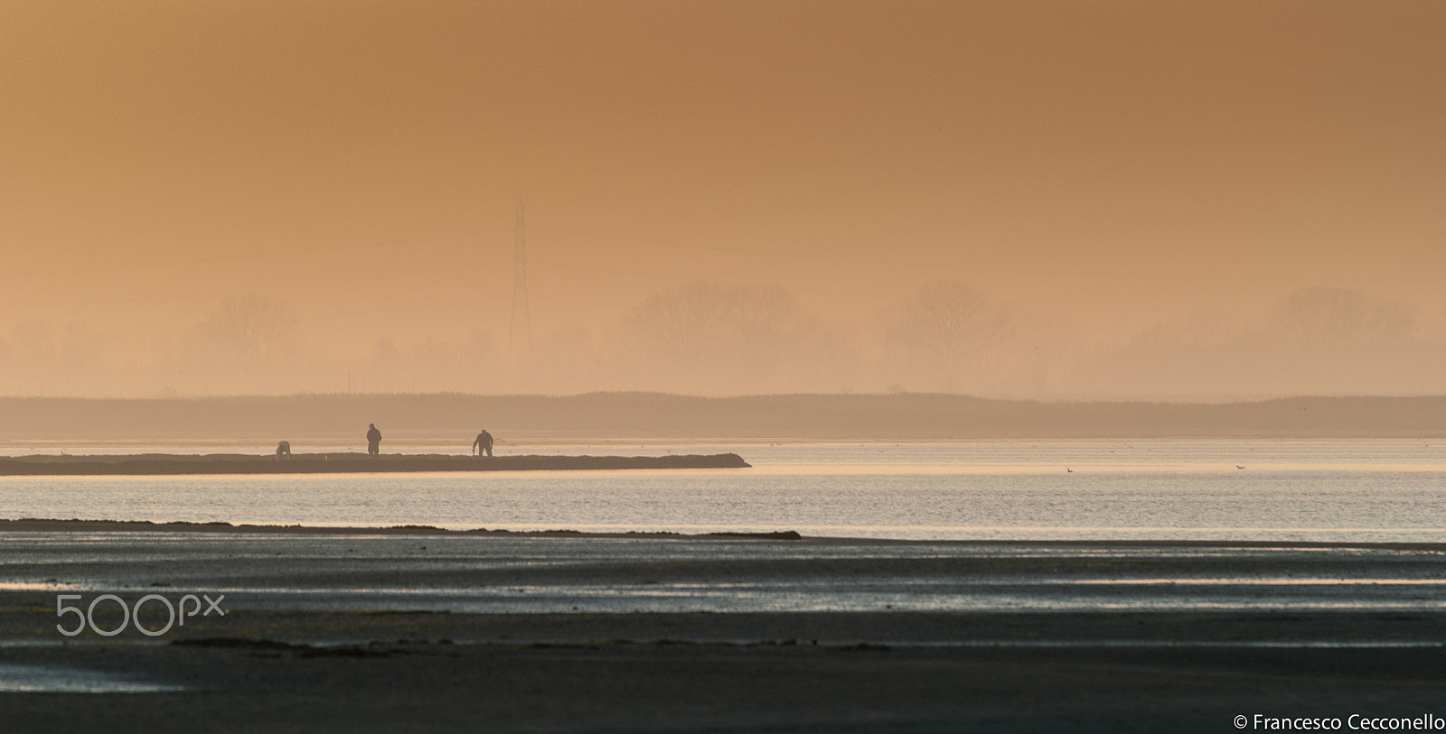 Nikon D3000 sample photo. Fishing in sunset. photography