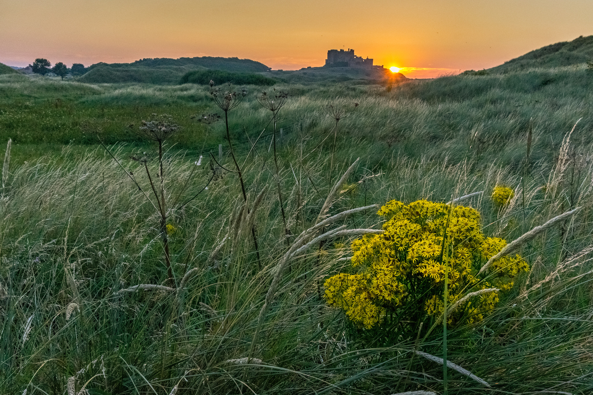 Sony a7R sample photo. Castle sunset photography
