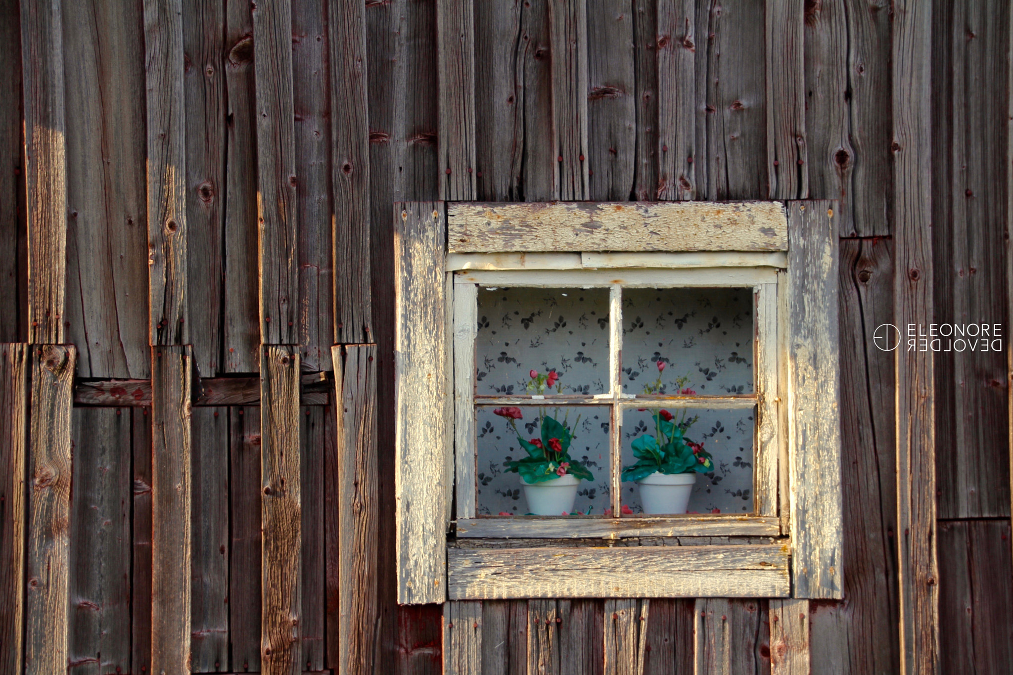 Sigma 18-250mm F3.5-6.3 DC OS HSM sample photo. Sunny window photography