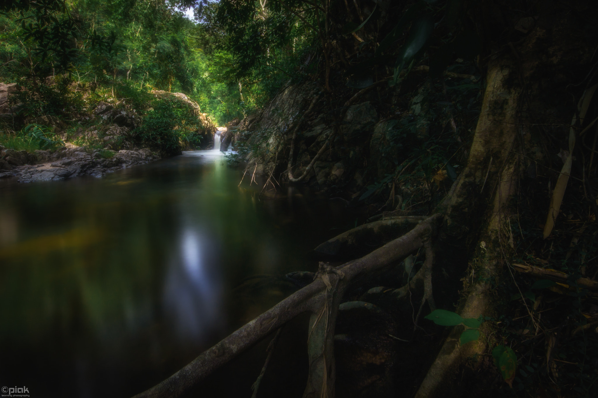 Canon EF 300mm f/2.8L sample photo. Small path photography