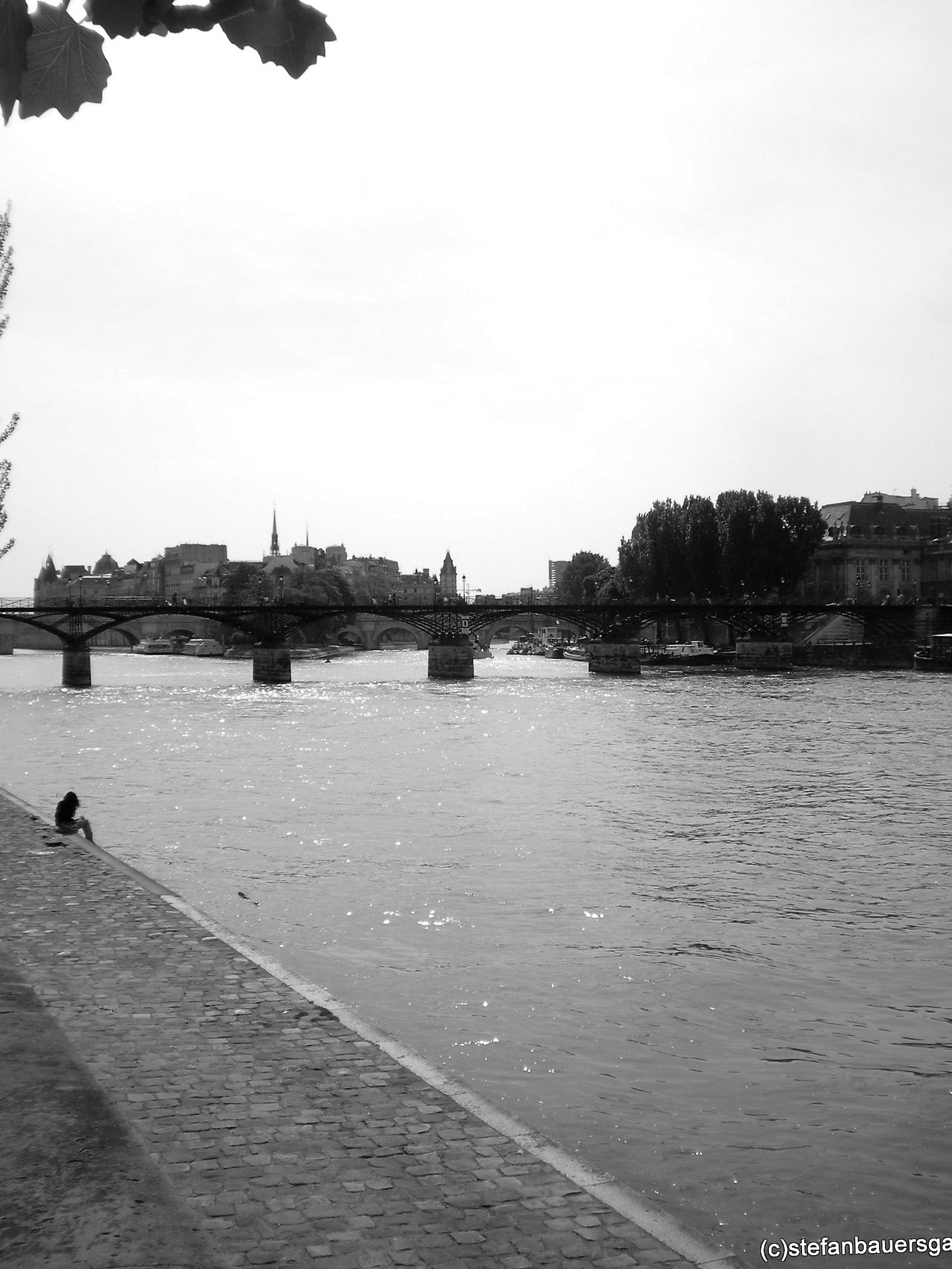 Nikon COOLPIX L14 sample photo. "pont neuf" photography