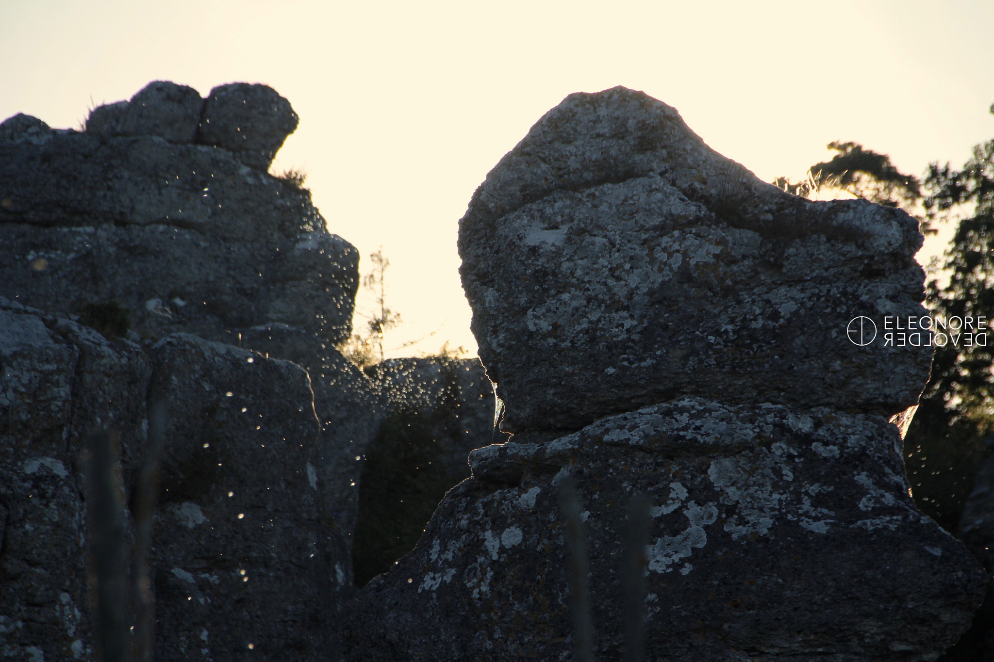 Sigma 18-250mm F3.5-6.3 DC OS HSM sample photo. Gotlandic rocks photography