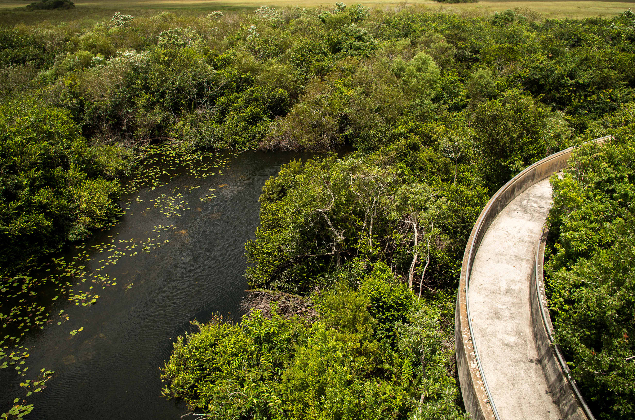 Pentax K-01 sample photo. Obervatory tower everglades photography