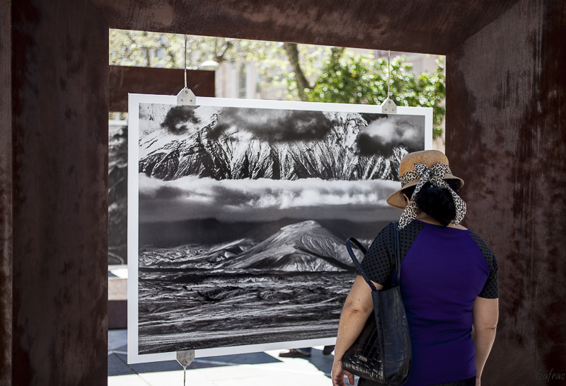 Canon EF 50mm F2.5 Macro sample photo. Expo (s.salgado) photography