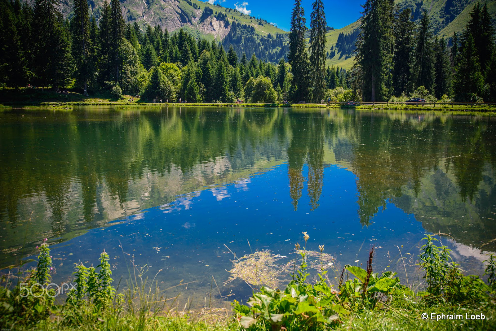 Nikon D600 + Sigma 24-105mm F4 DG OS HSM Art sample photo. Haute savoie ephraim loeb photography