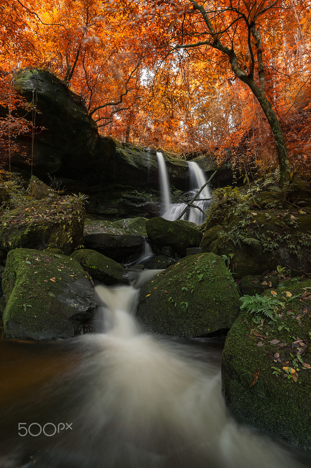 Nikon Df + Nikon AF-S Nikkor 20mm F1.8G ED sample photo. Beautiful waterfall in autumn deep forest at mun dang waterfall photography