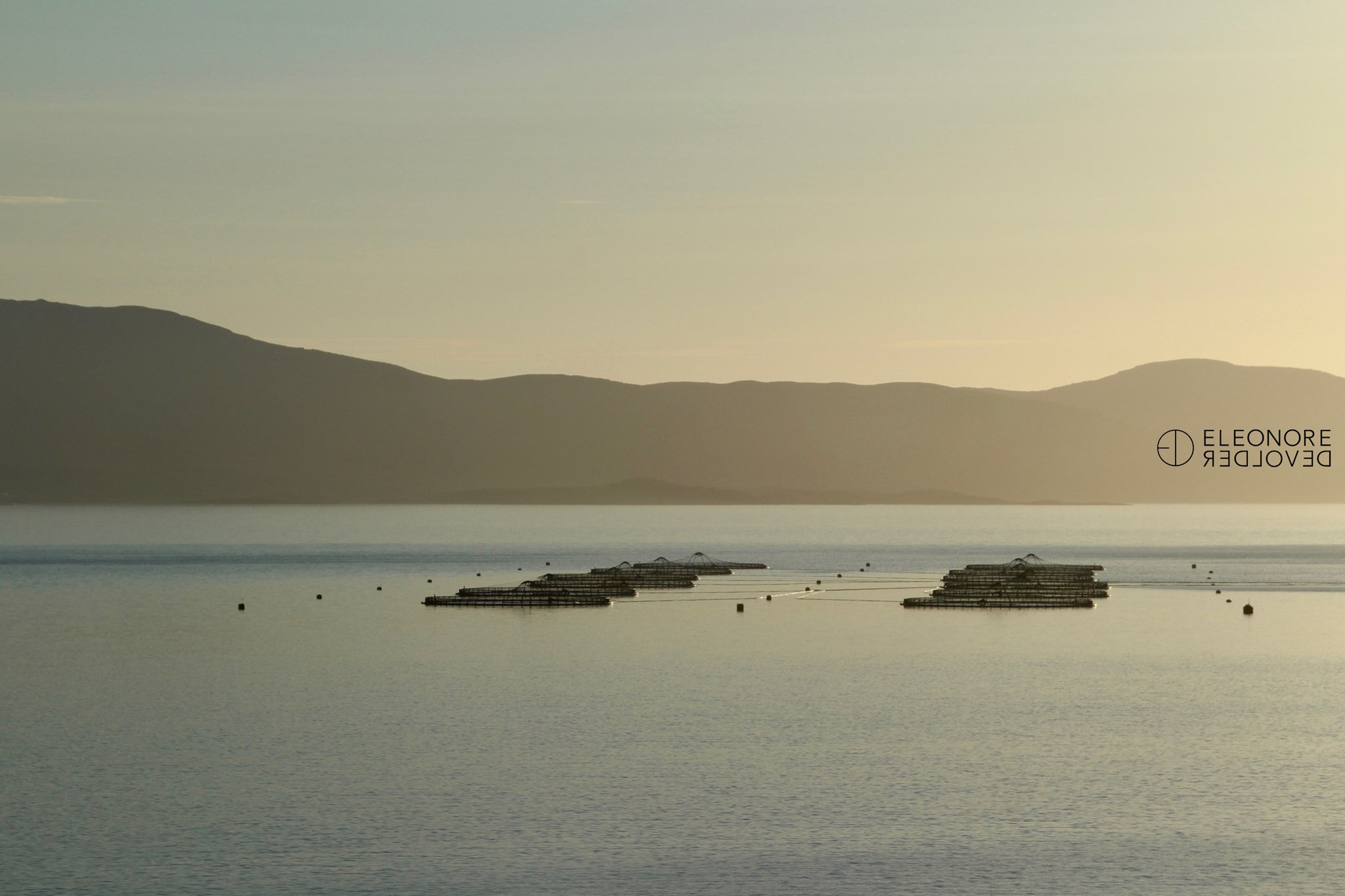 Sigma 18-250mm F3.5-6.3 DC OS HSM sample photo. Floating nets photography