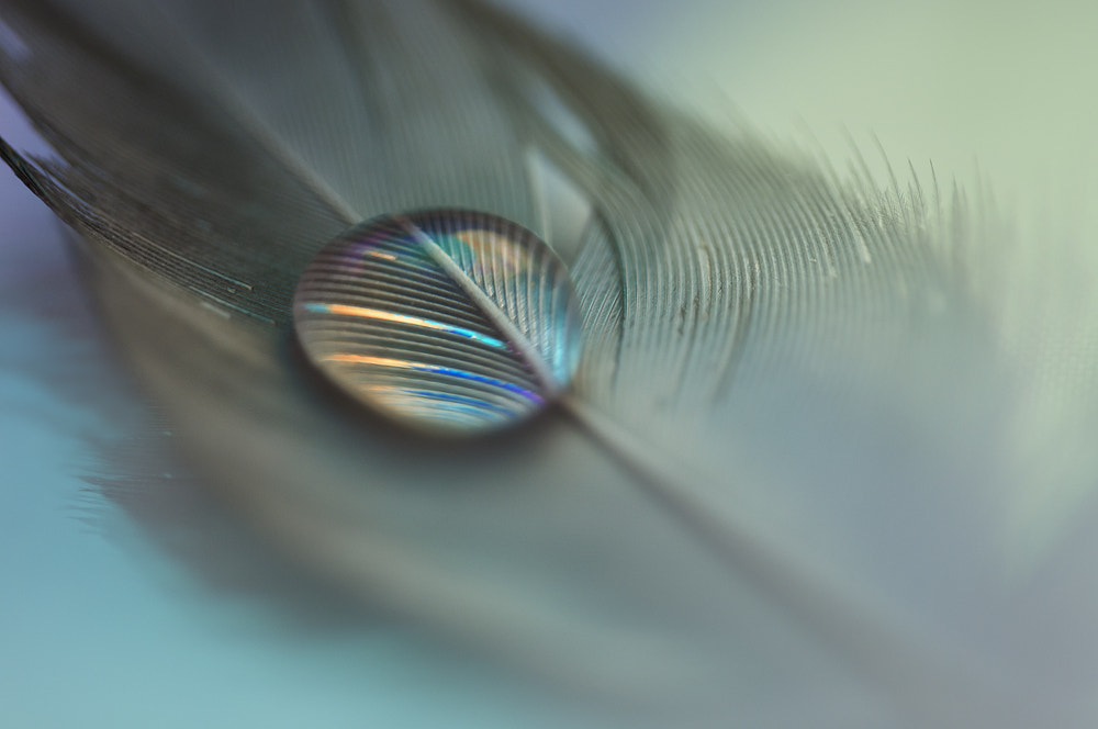 Sigma 150mm F2.8 EX DG OS Macro HSM sample photo. Colorful drop photography