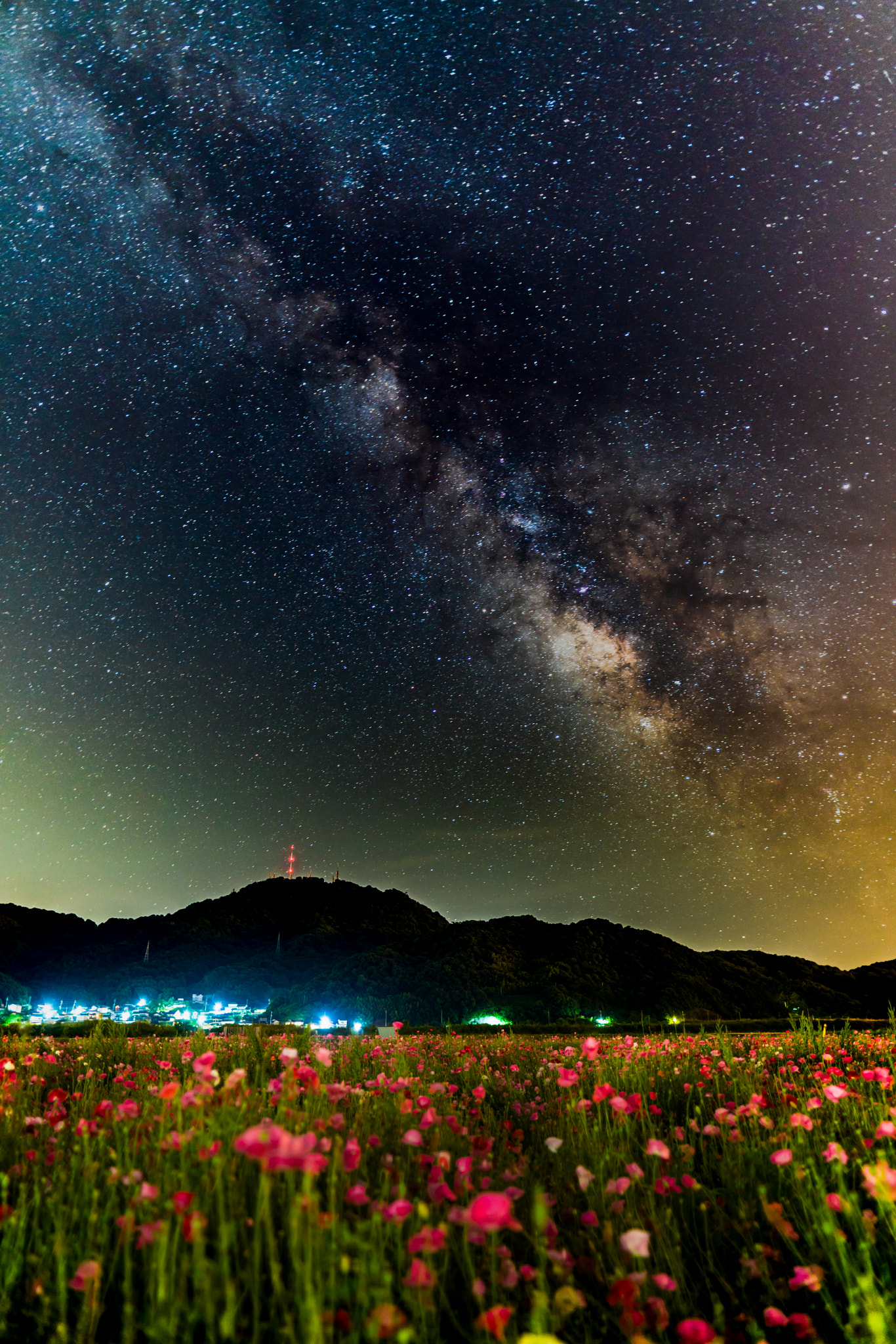 Sony a7R II + Sigma 20mm F1.4 DG HSM Art sample photo. Poppy field under the milky way photography