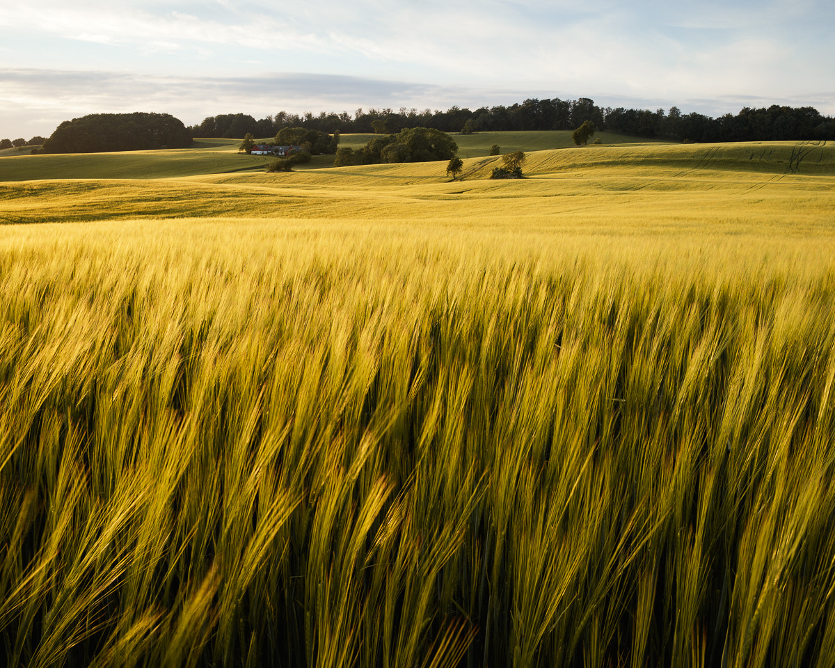 Canon TS-E 45mm F2.8 Tilt-Shift sample photo. Krageholm i photography