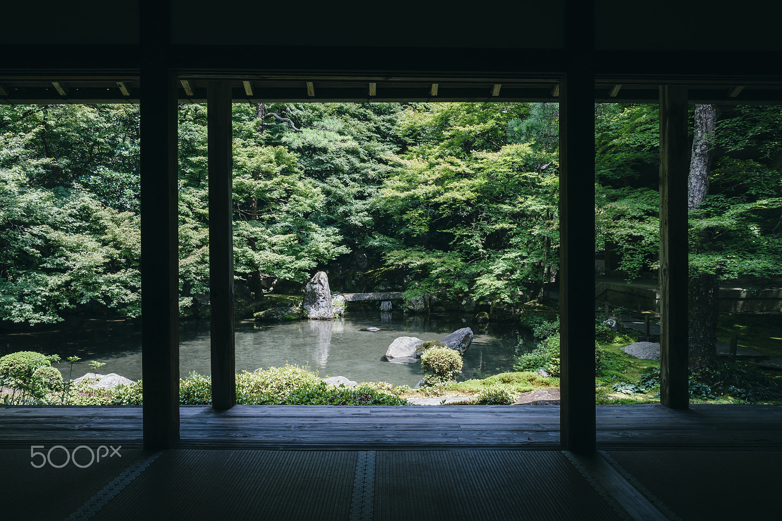 Nikon D4 sample photo. Renge-ji temple photography