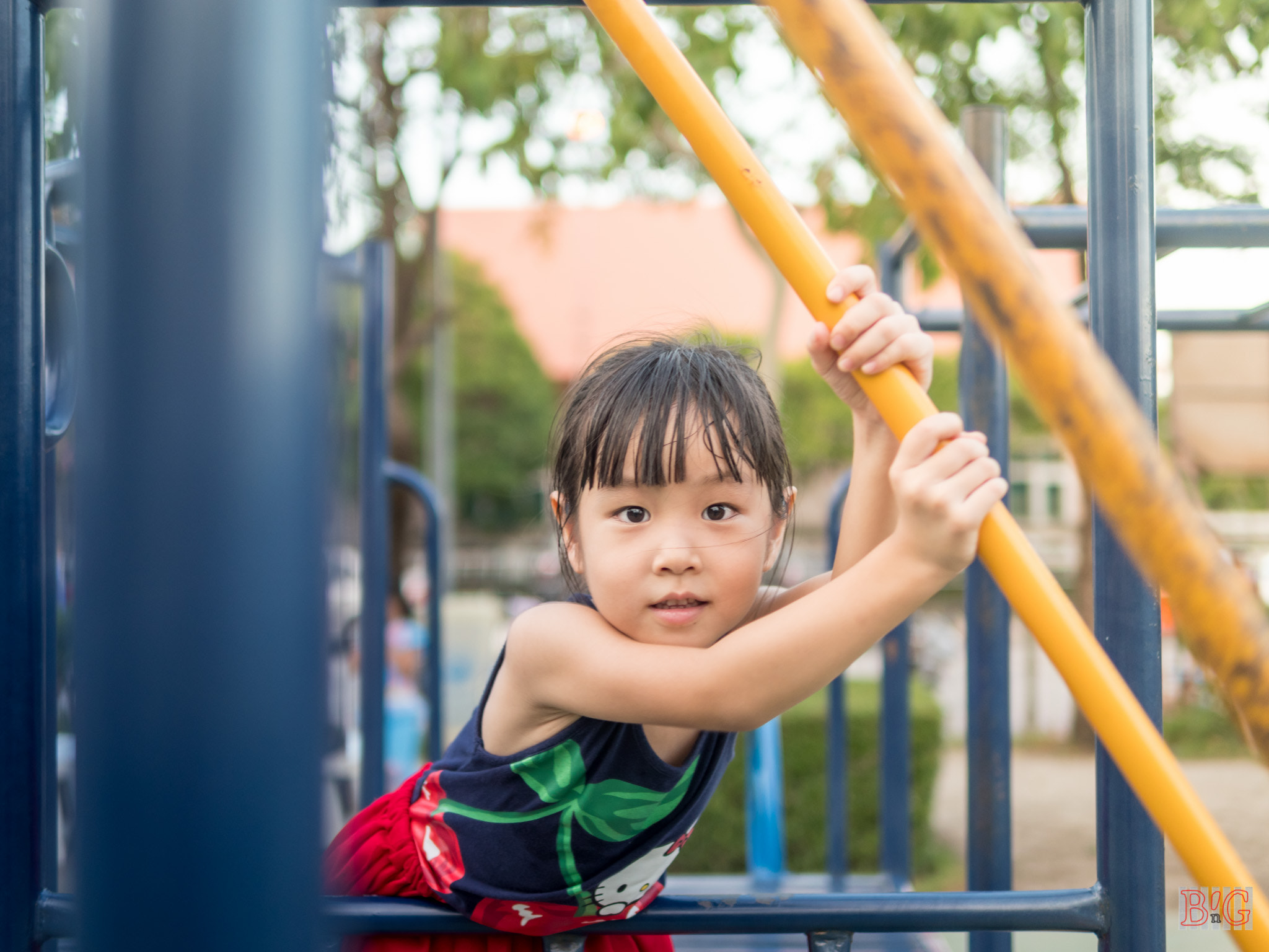 Panasonic Lumix DMC-GX8 + Panasonic Leica DG Summilux 25mm F1.4 II ASPH sample photo. Ginny photography