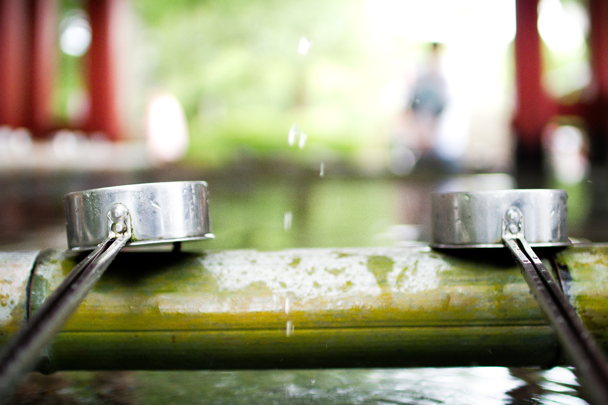 Sigma 30mm F1.4 EX DC HSM sample photo. Temple water photography