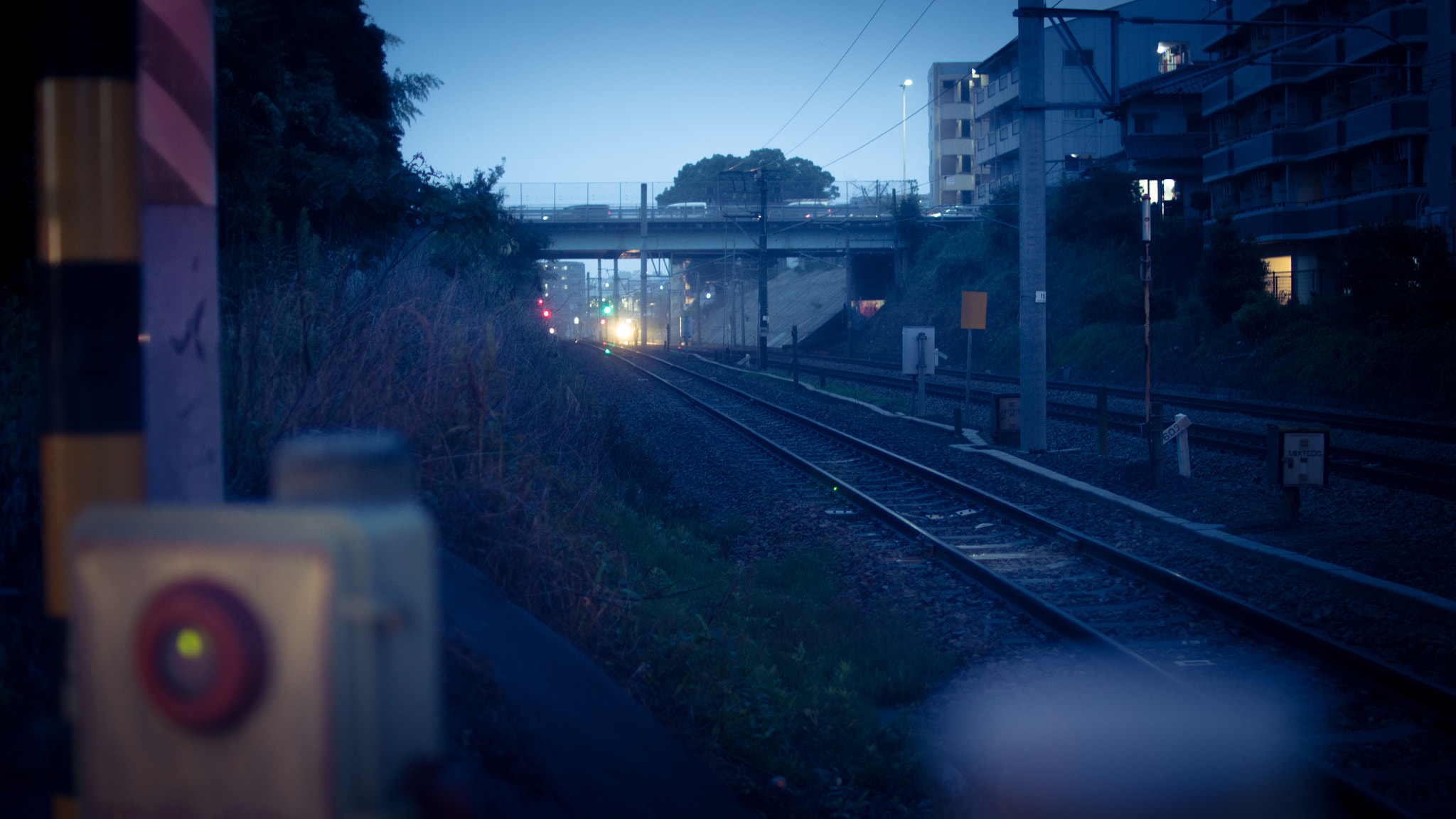 Sigma 30mm F1.4 EX DC HSM sample photo. It's coming photography
