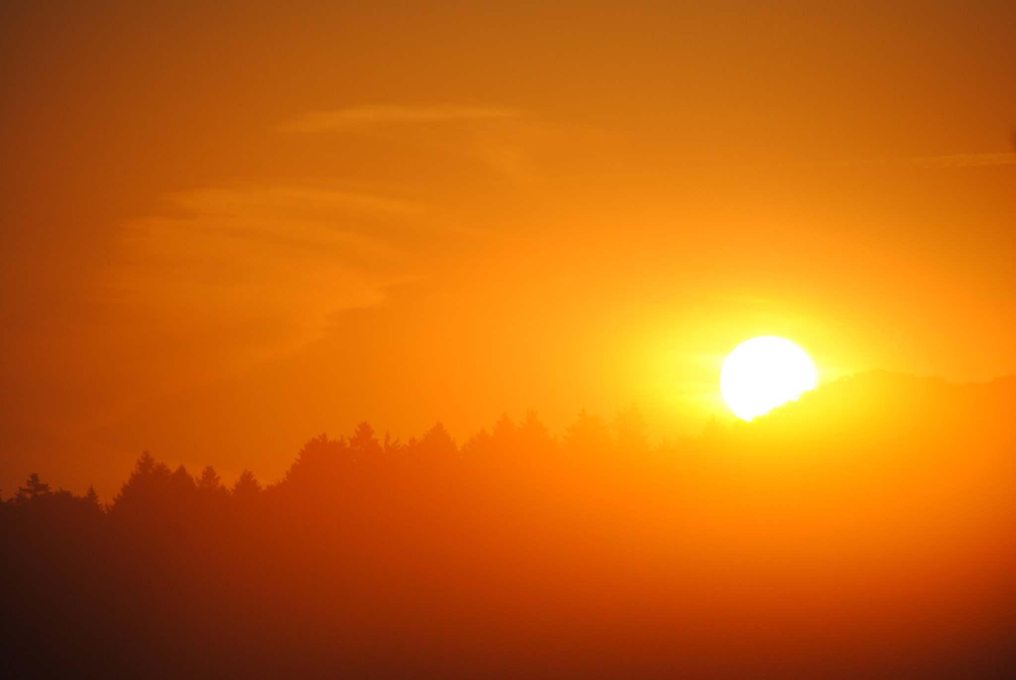 Nikon D3000 sample photo. Nebliger sonnenaufgang photography