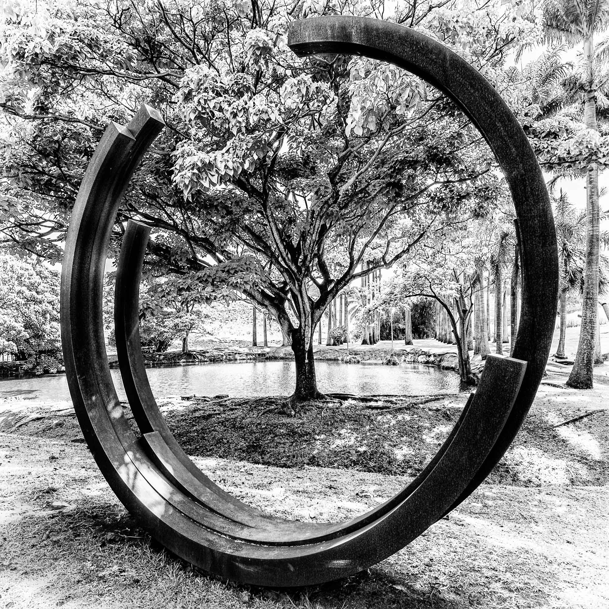 Sigma 10-20mm F3.5 EX DC HSM sample photo. Woodgate photography