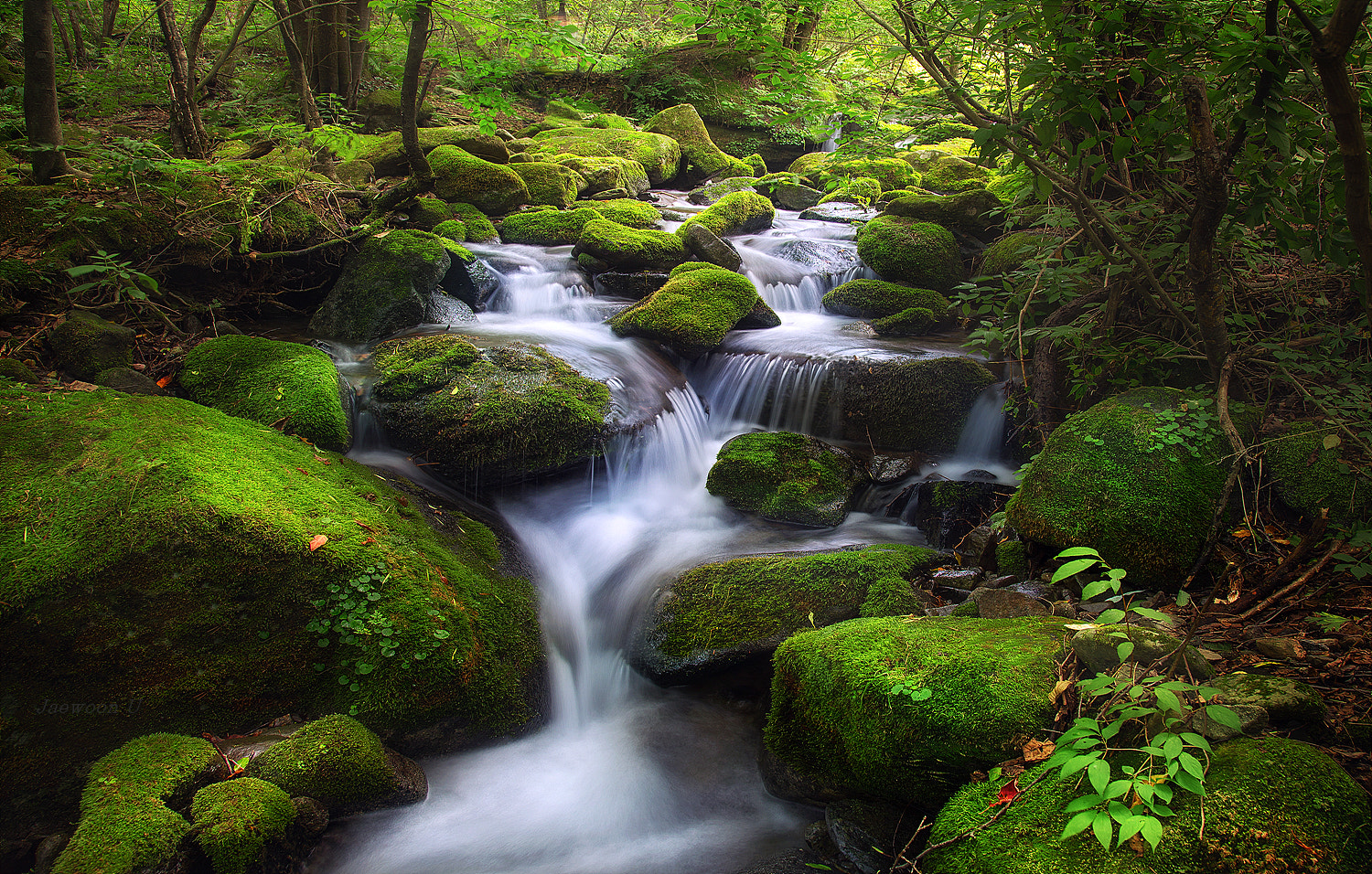 Moss Valley by Jaewoon U Photo 168371095 / 500px
