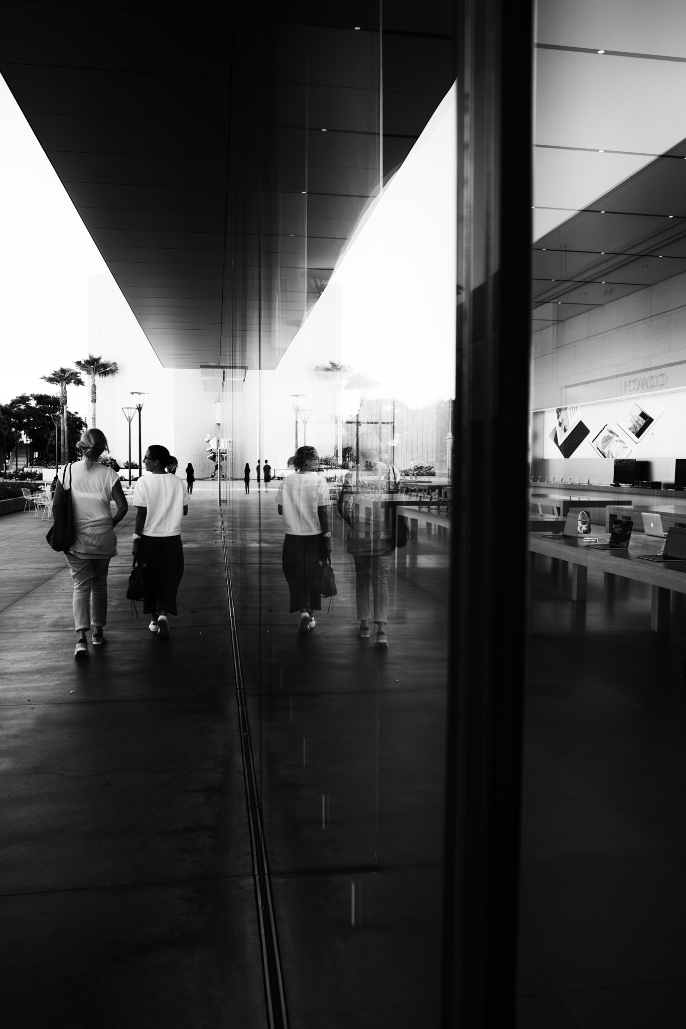 Nikon D810 + Nikon AF-S Nikkor 28mm F1.8G sample photo. Reflection on stanford university photography