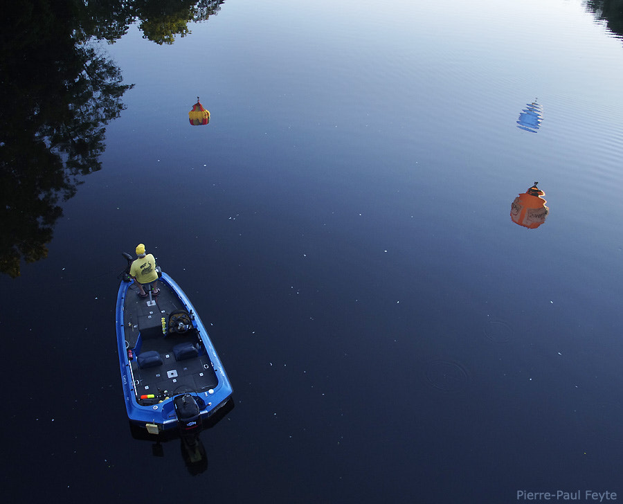Sigma 17-50mm F2.8 EX DC HSM sample photo. Fishing some ballons photography